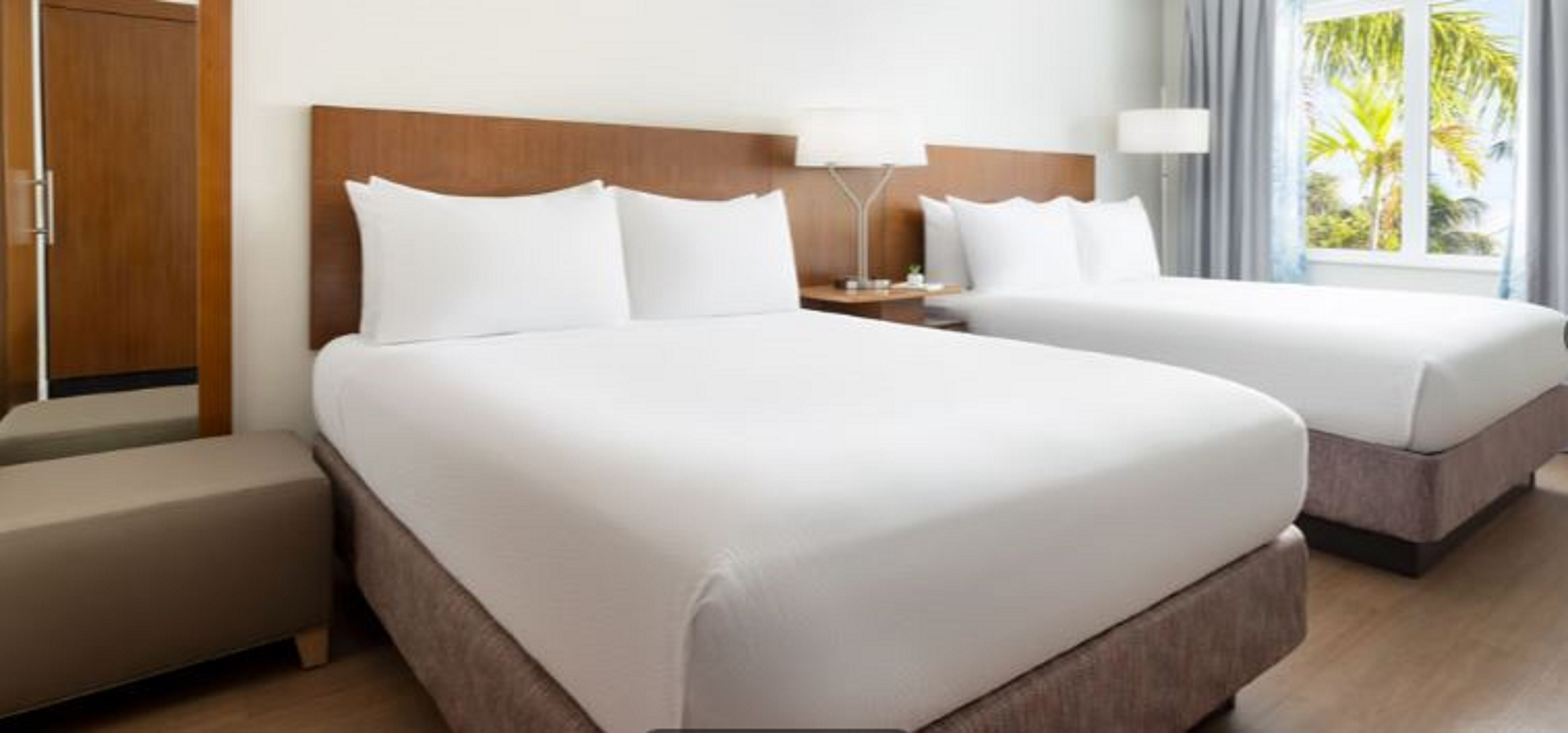 Double Two Queen Beds