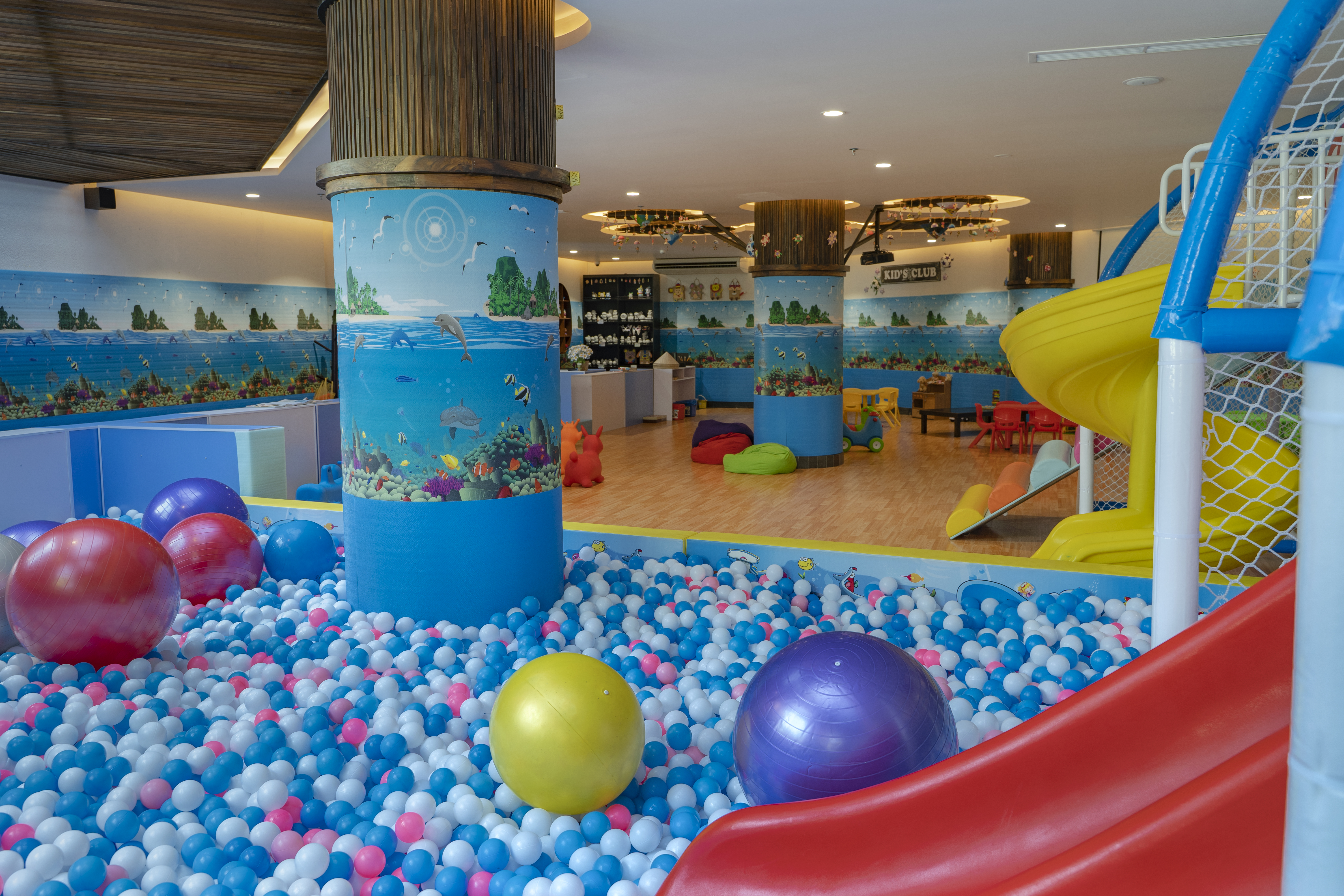 Sports and Entertainment