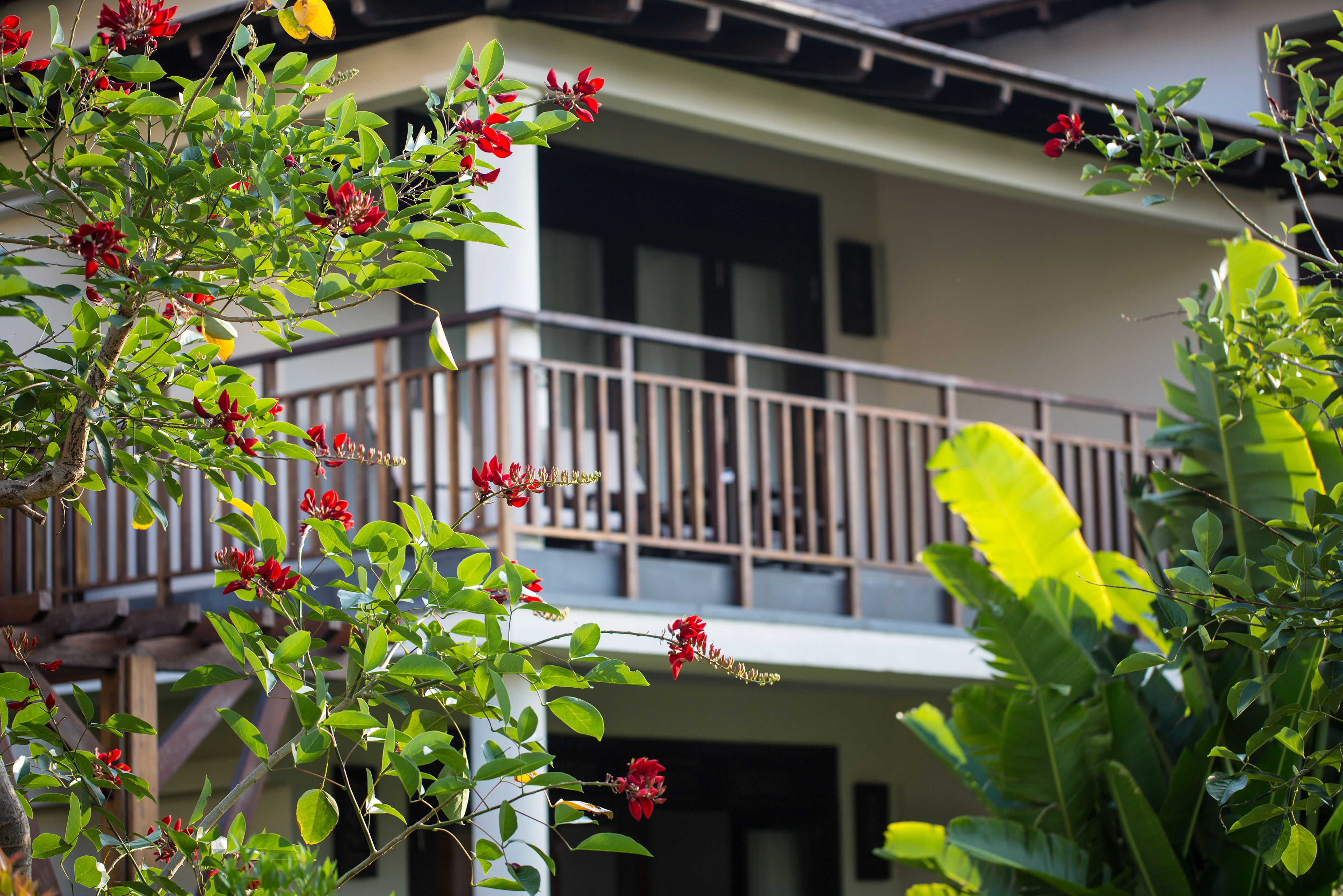 Villa Deluxe Garden View