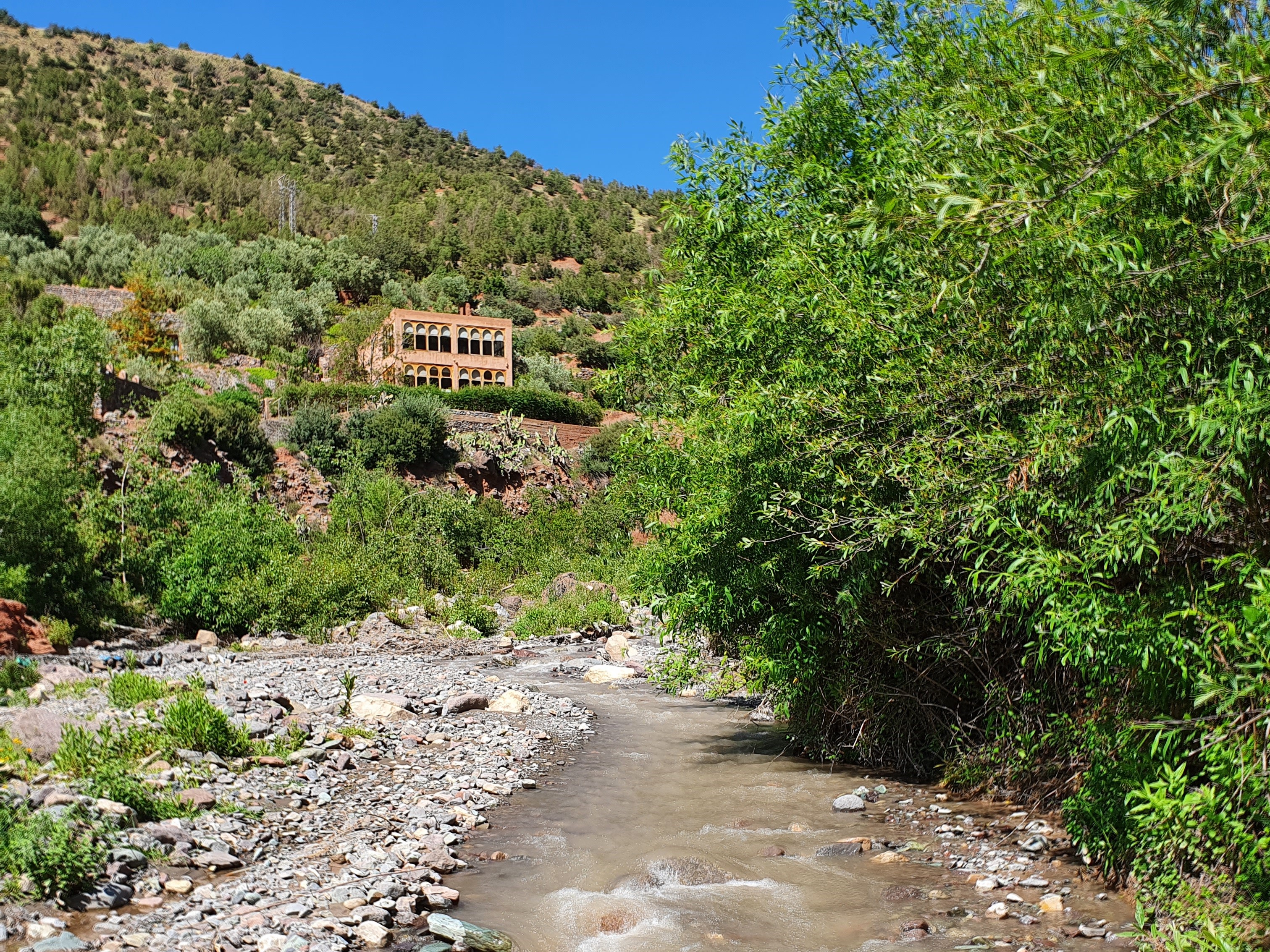 Tent Deluxe with Views
