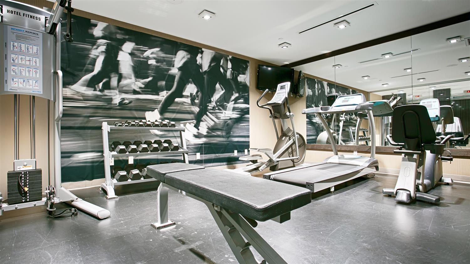 Sports and Entertainment