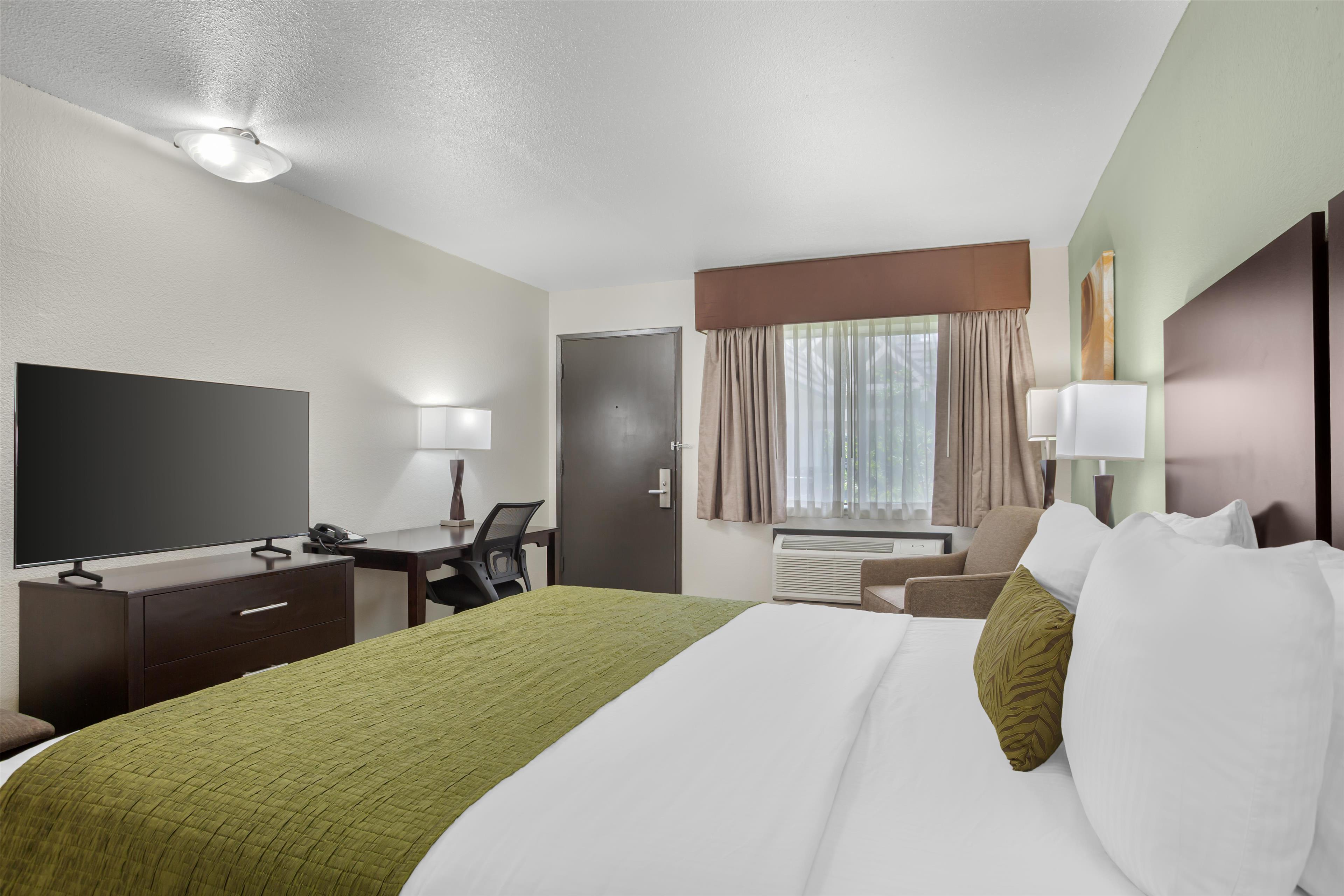 Room King Bed Non Smoking