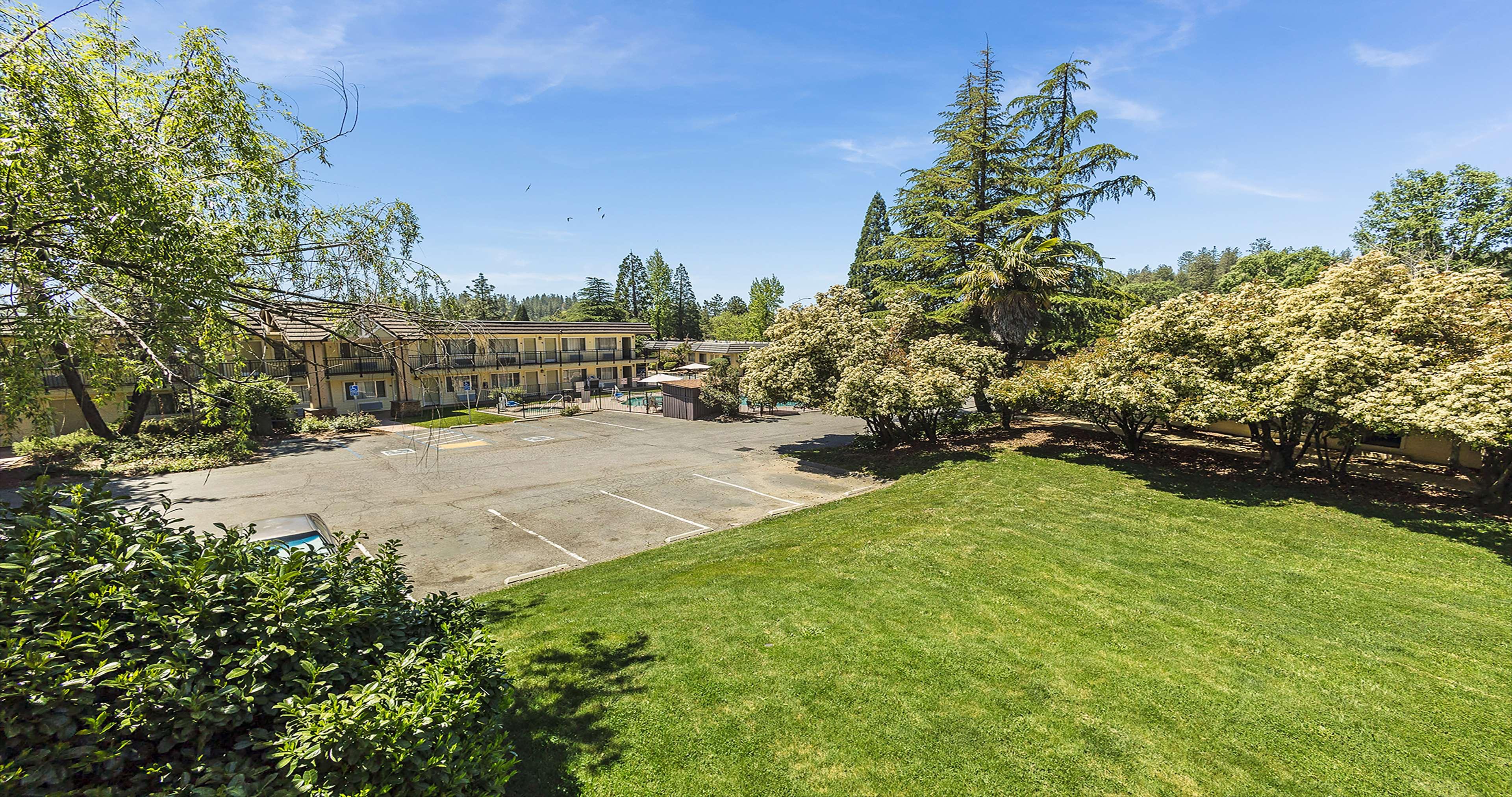 Room King Bed Non Smoking