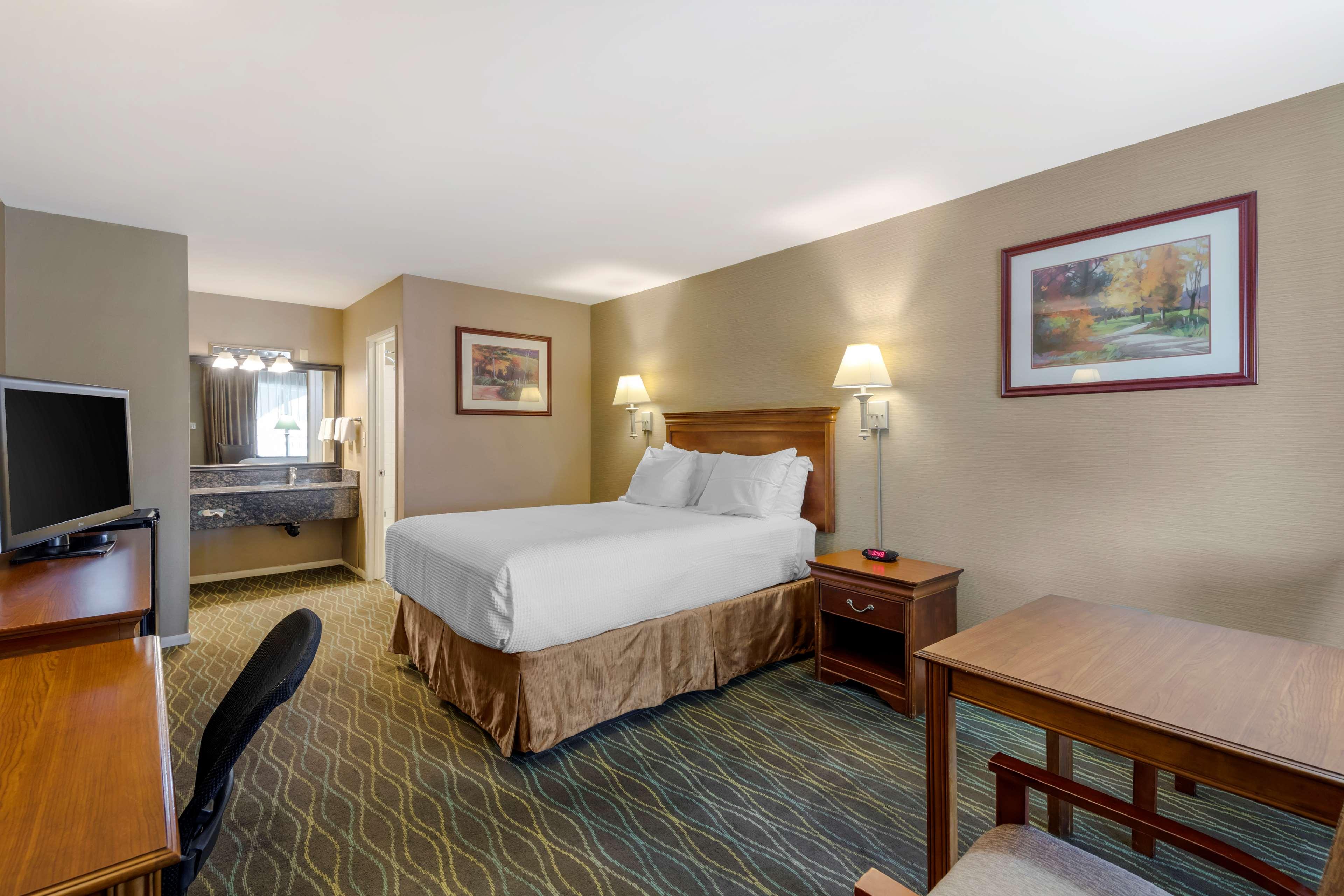 Double Queen Size Bed