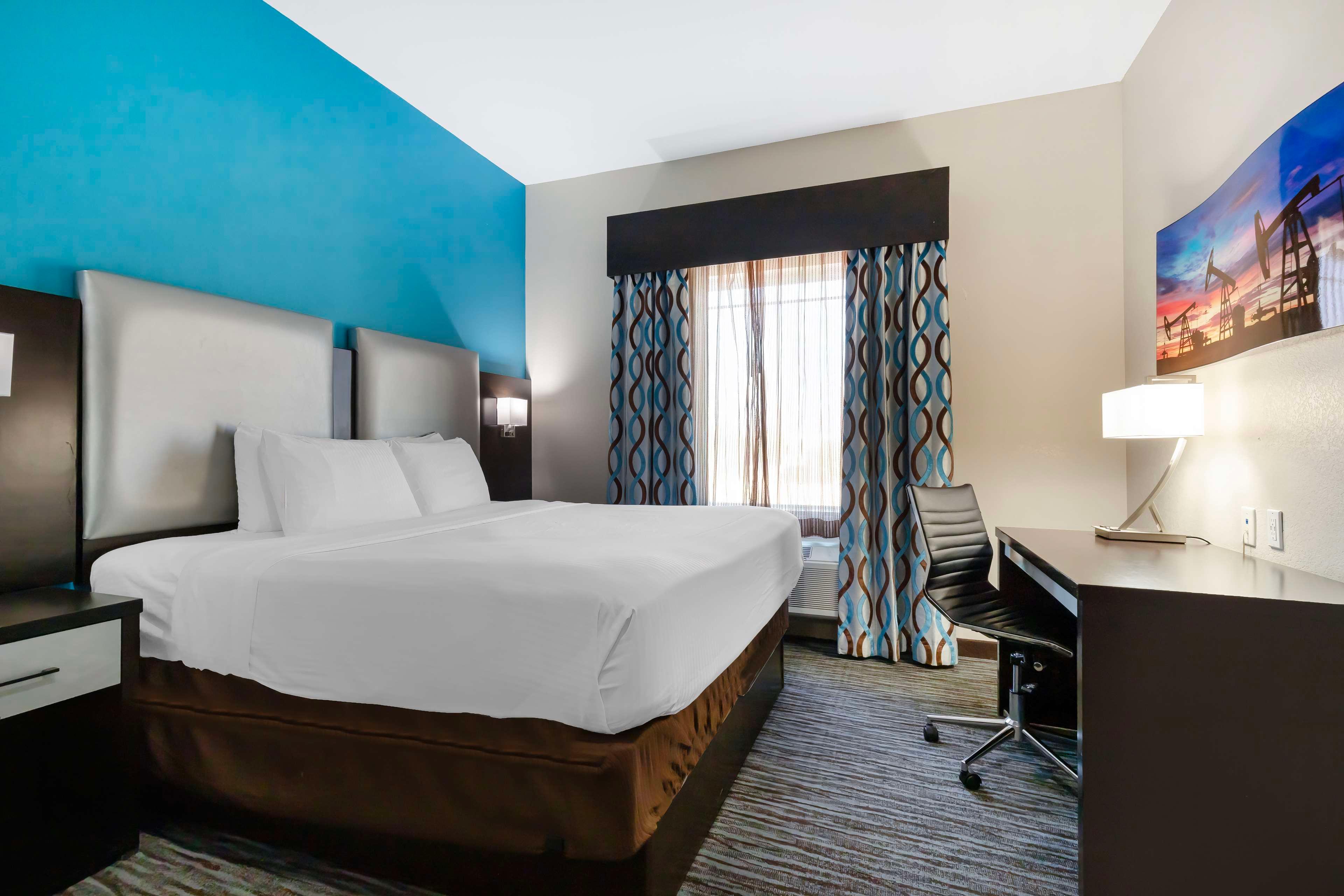 Suite King Bed Non Smoking