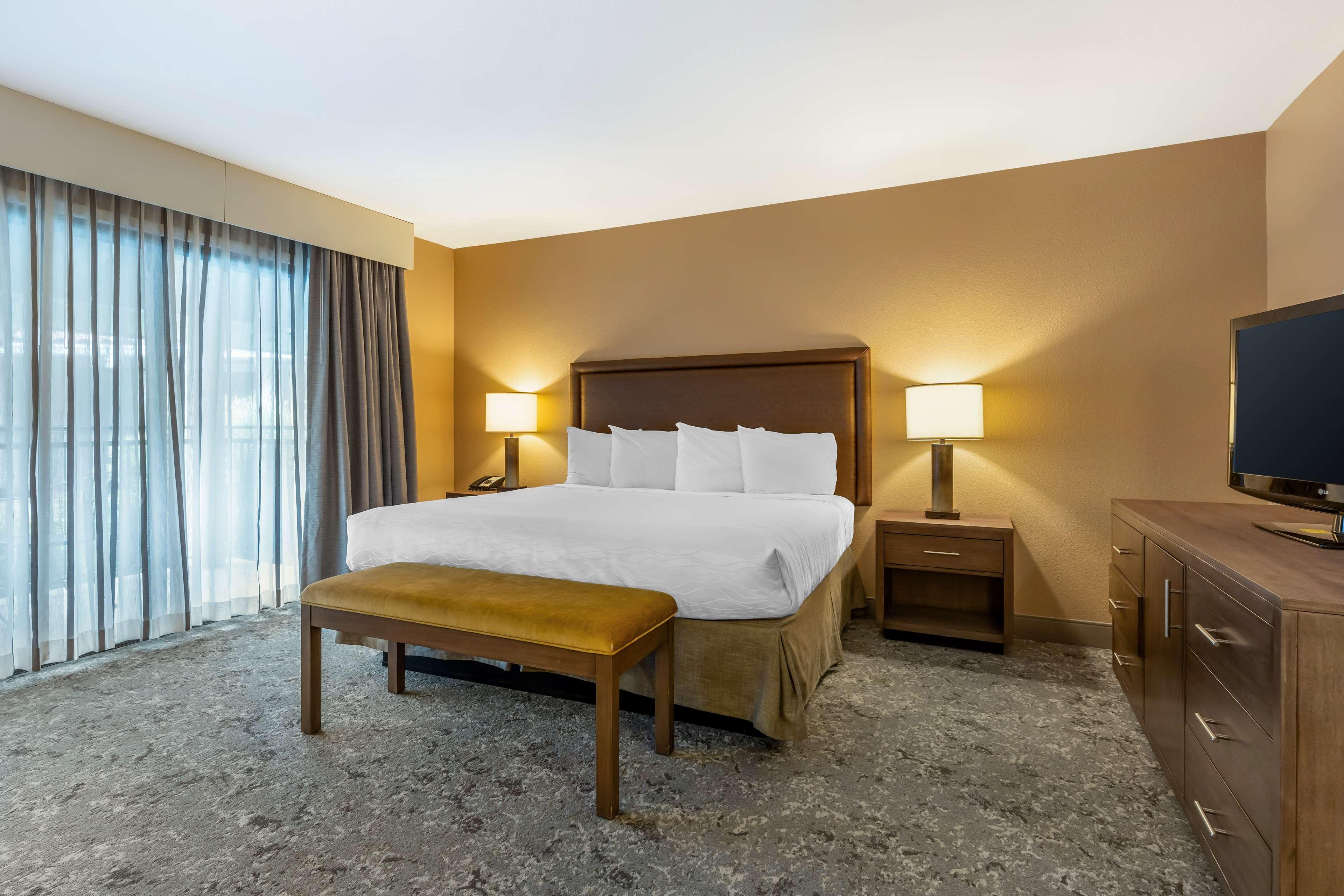 Junior Suite King Bed Non Smoking