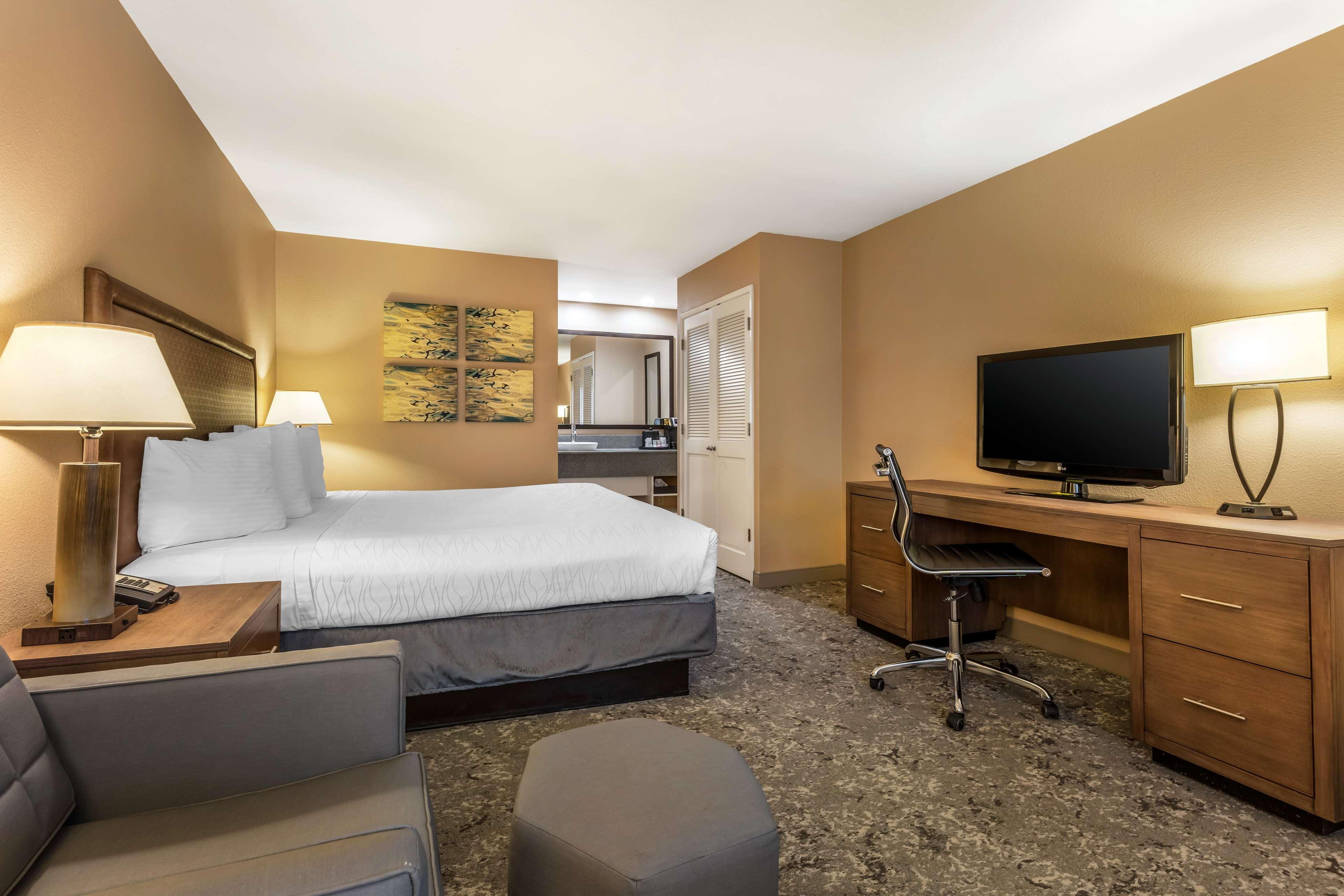 Double King Bed Non Smoking