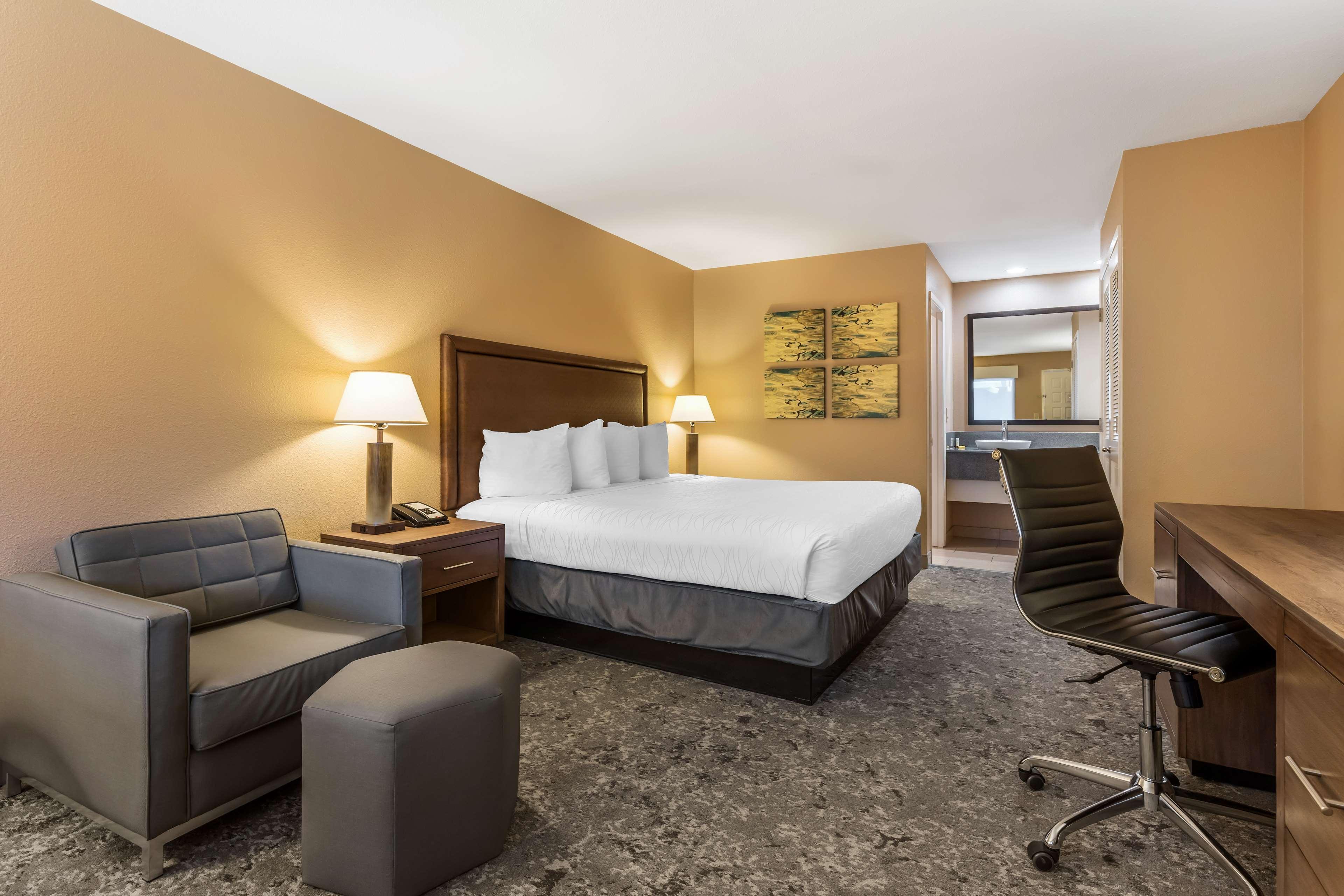 Double King Bed Non Smoking