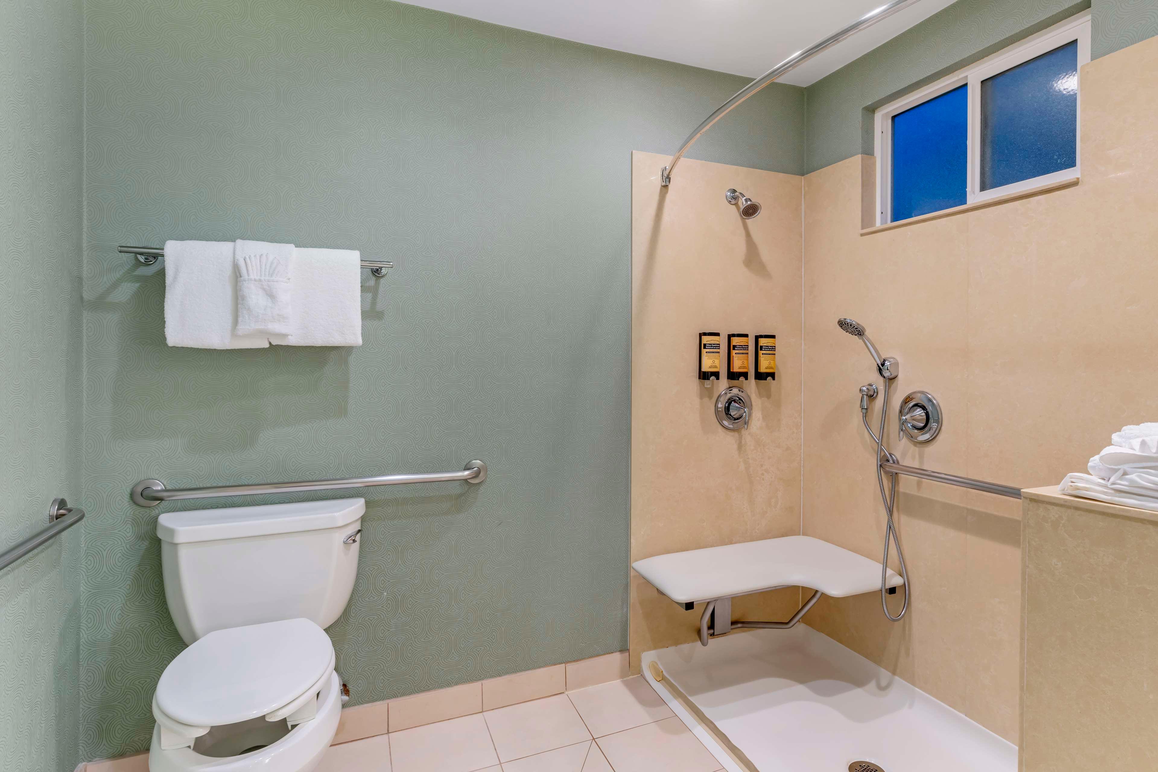 Room Accessible King Size Bed