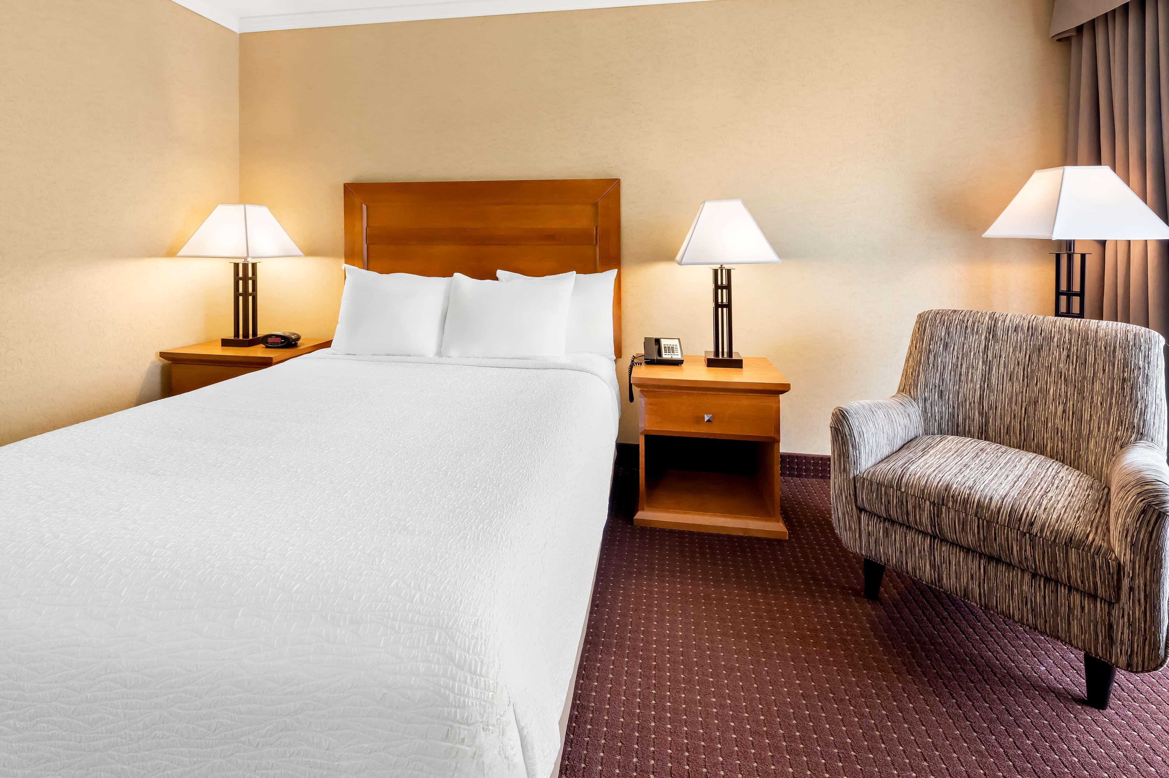 Room King Bed Non Smoking