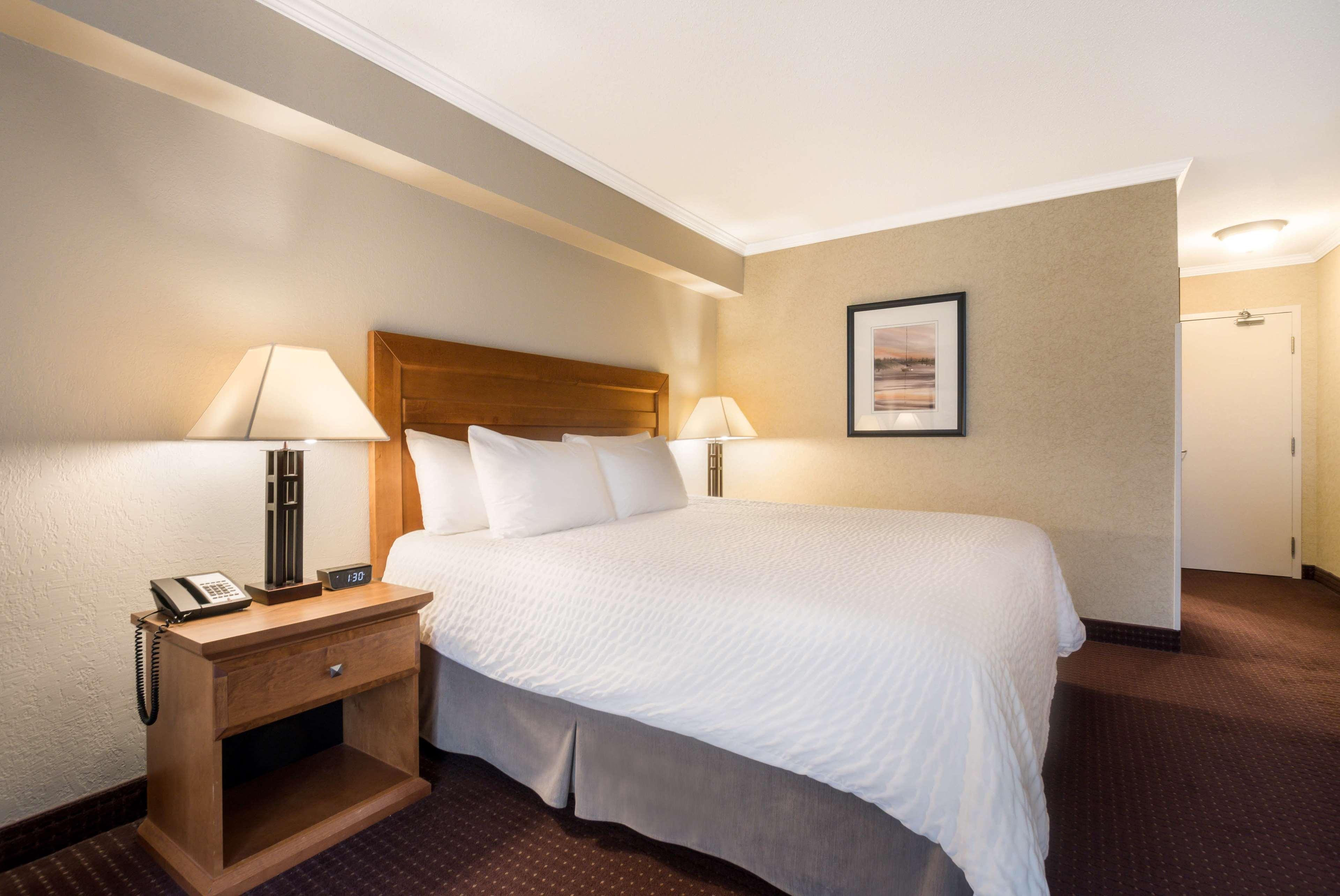 Room King Bed Non Smoking