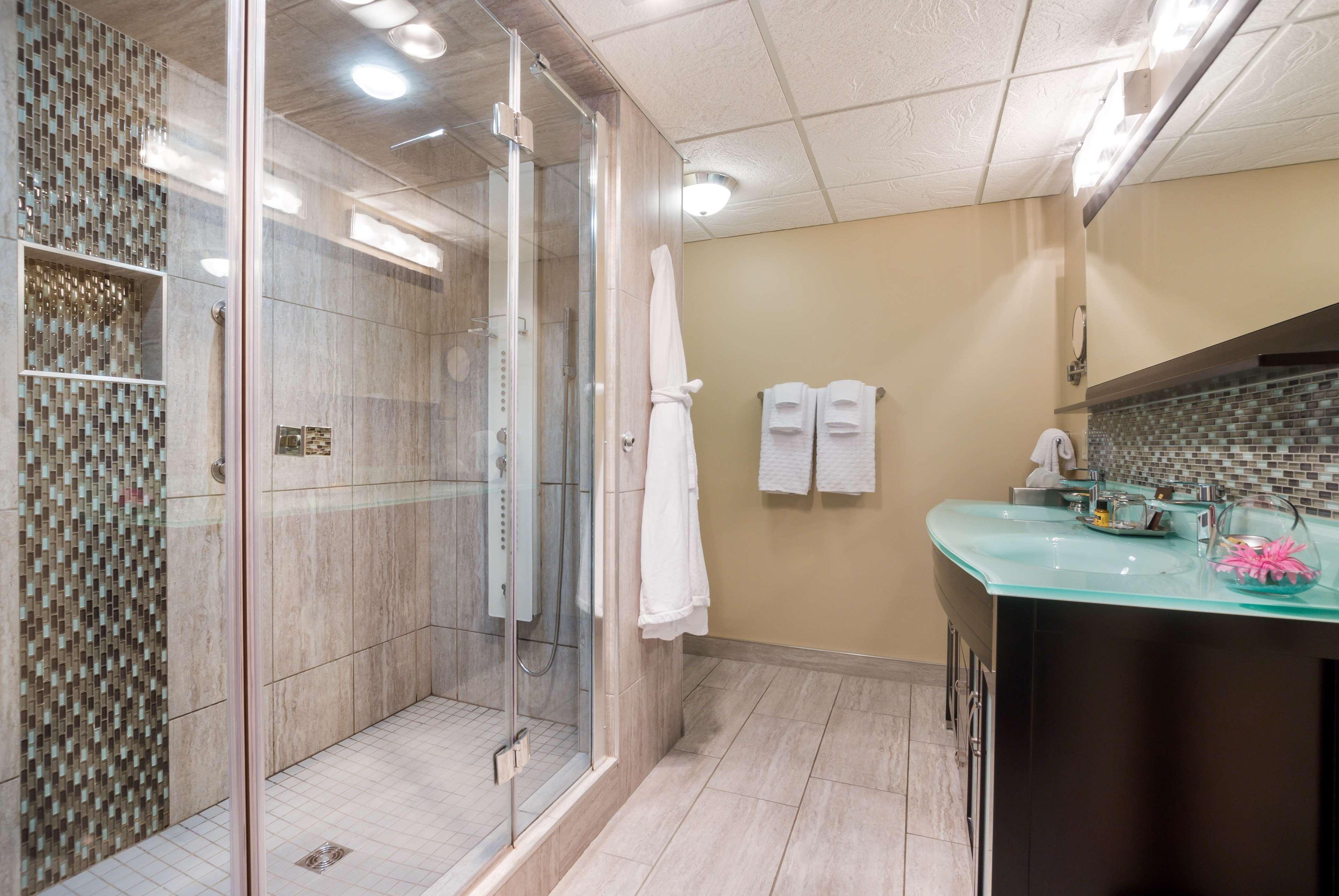 Suite King Bed Non Smoking