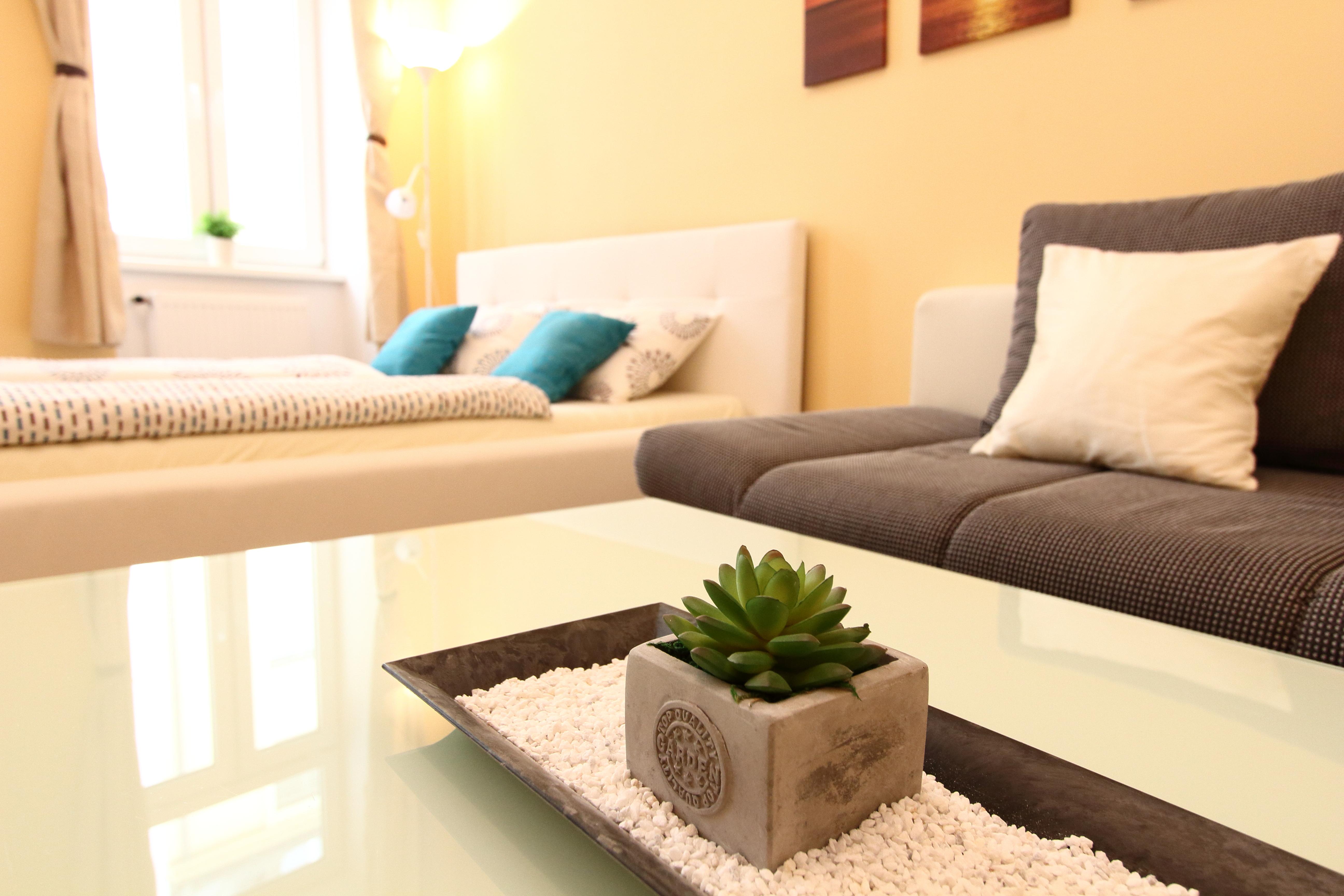 Apartment Capacity 4