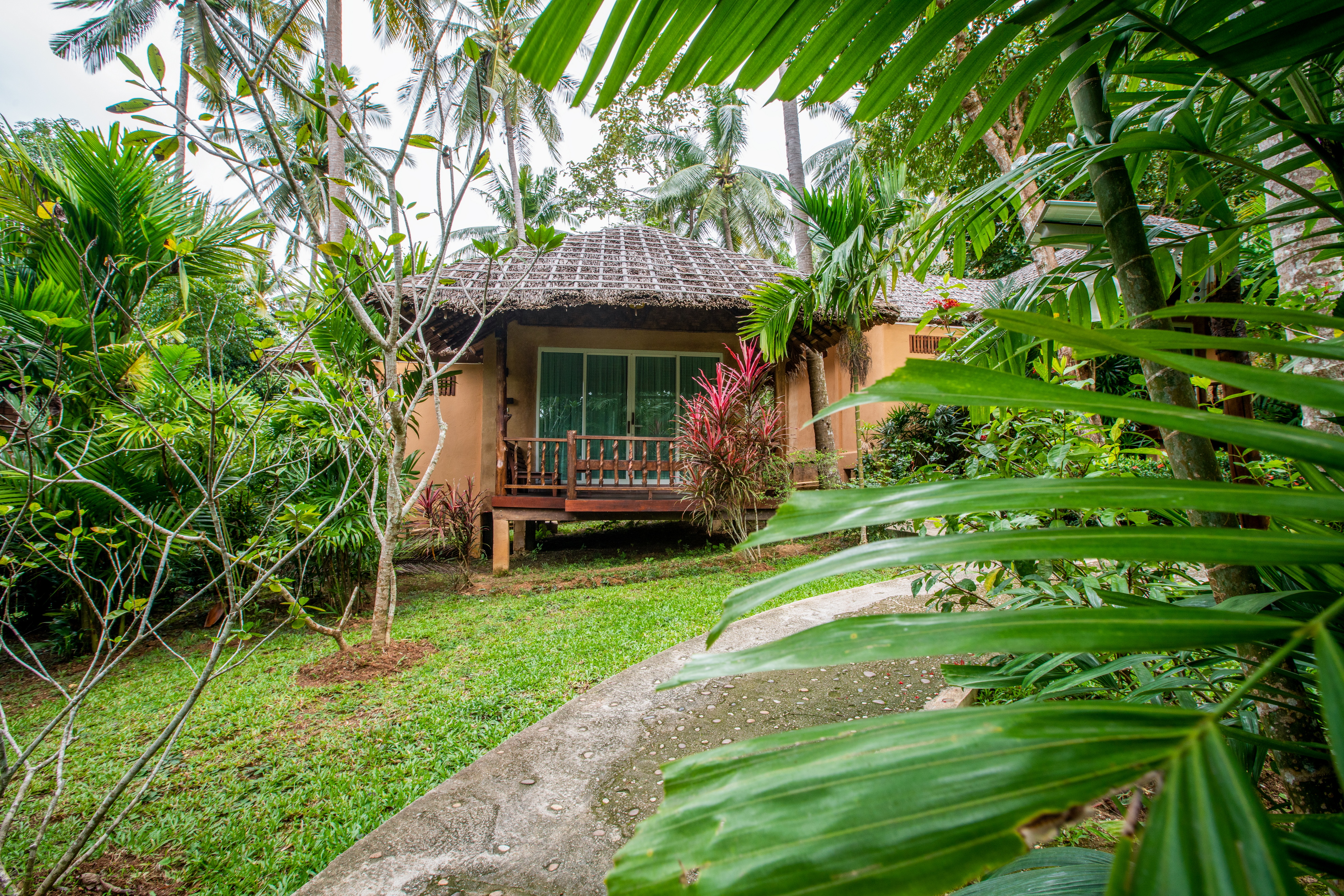 Double Superior Mountain View