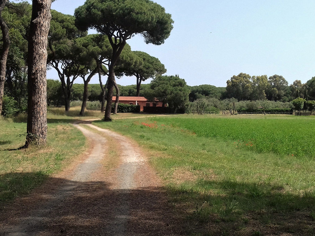 Apartment Capacity 2