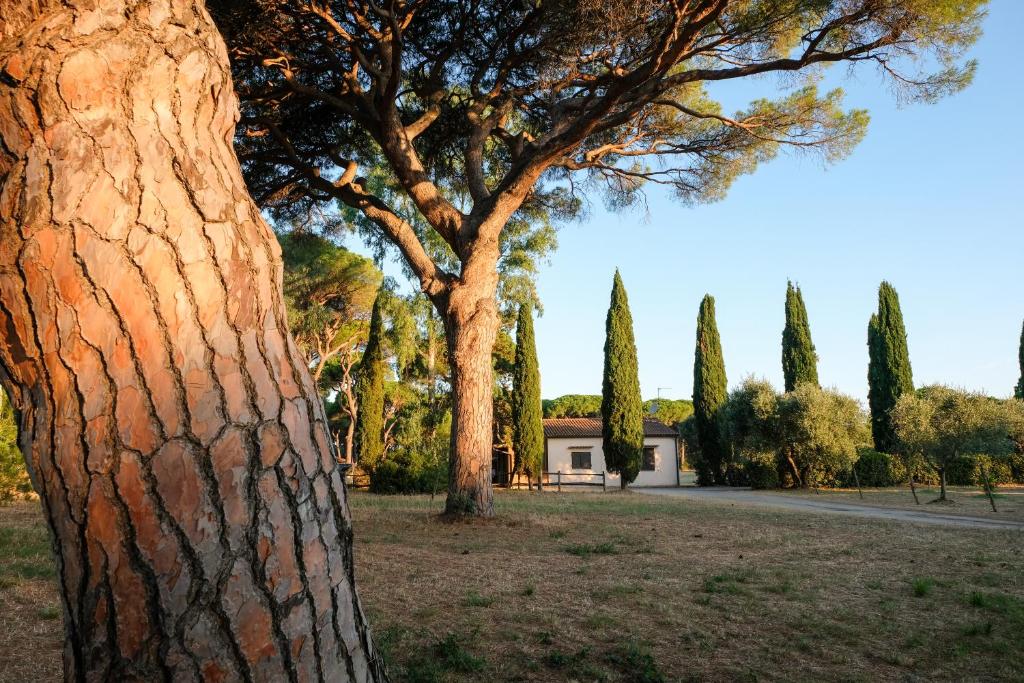 Apartment Capacity 2