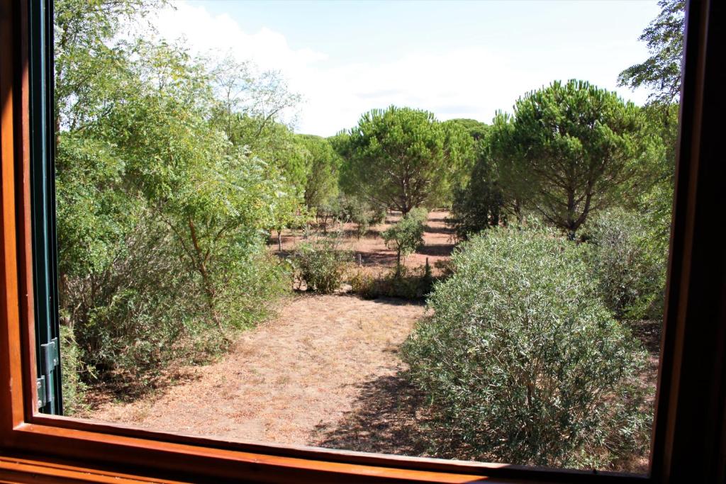 Apartment Capacity 4 Two Bedrooms