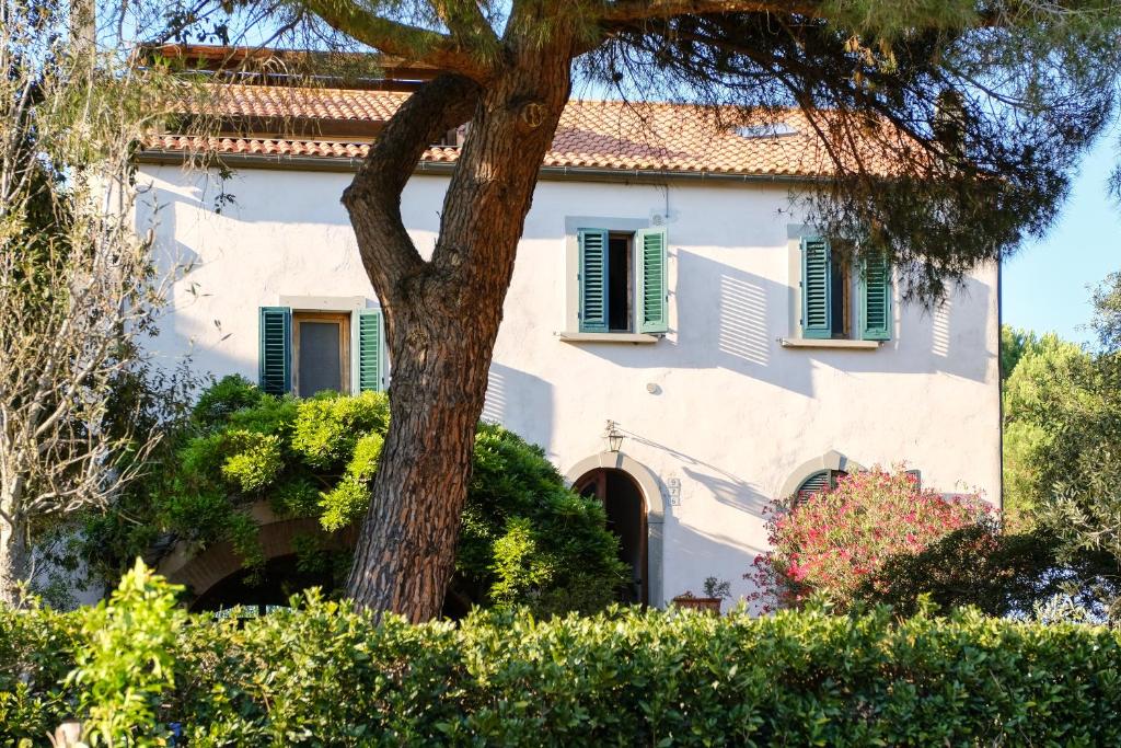 Apartment Capacity 6