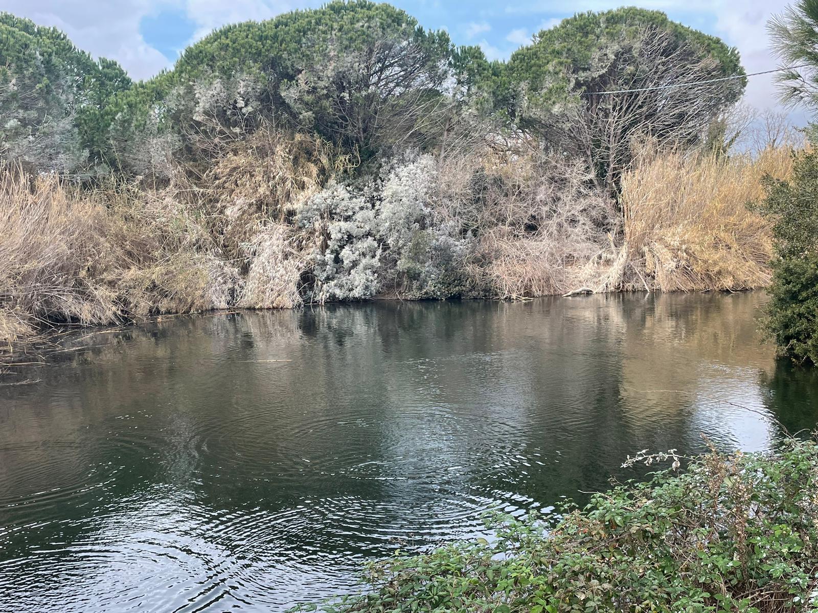 Apartment Capacity 4 Two Bedrooms