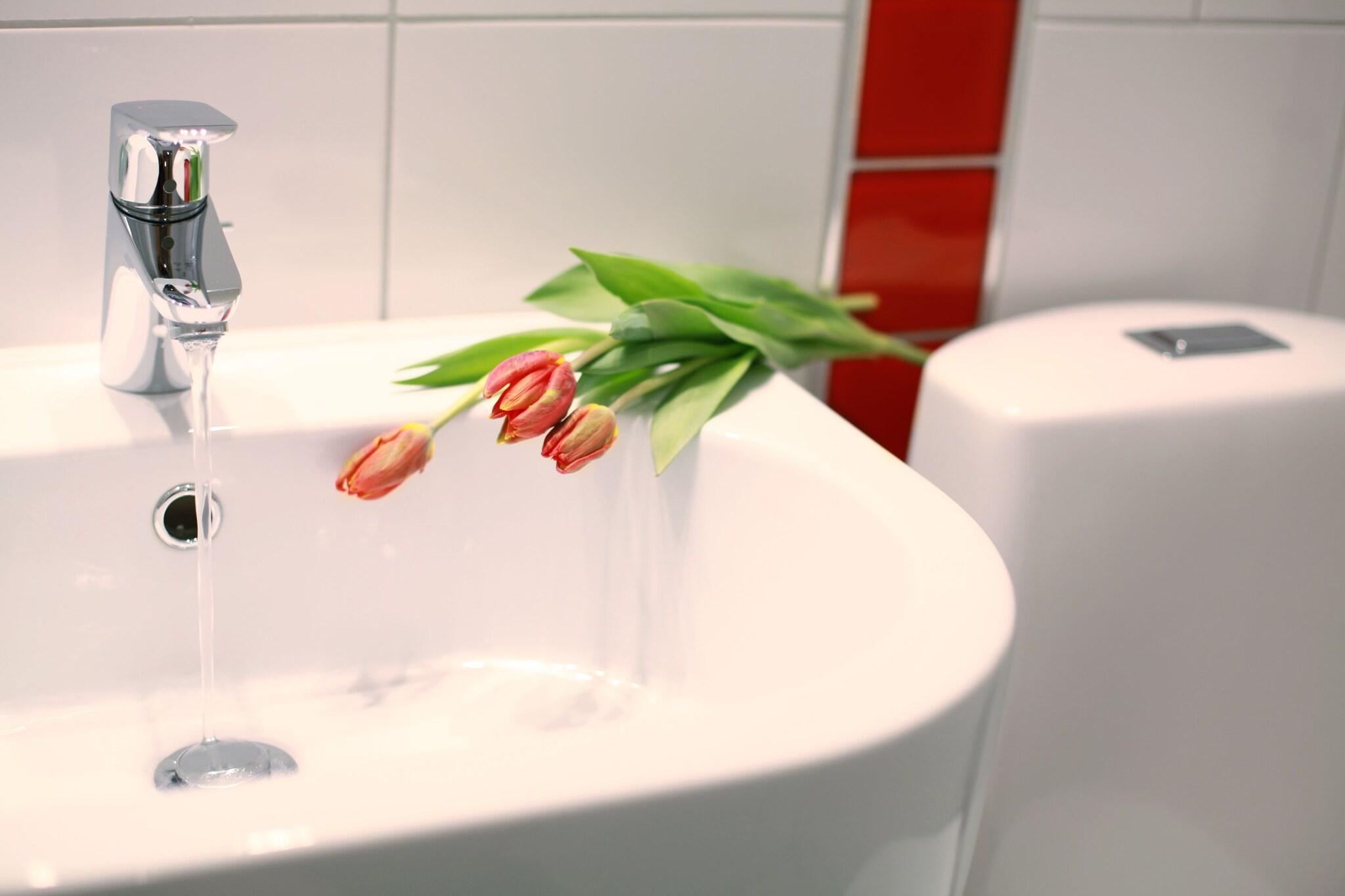 Double Queen Size Bed