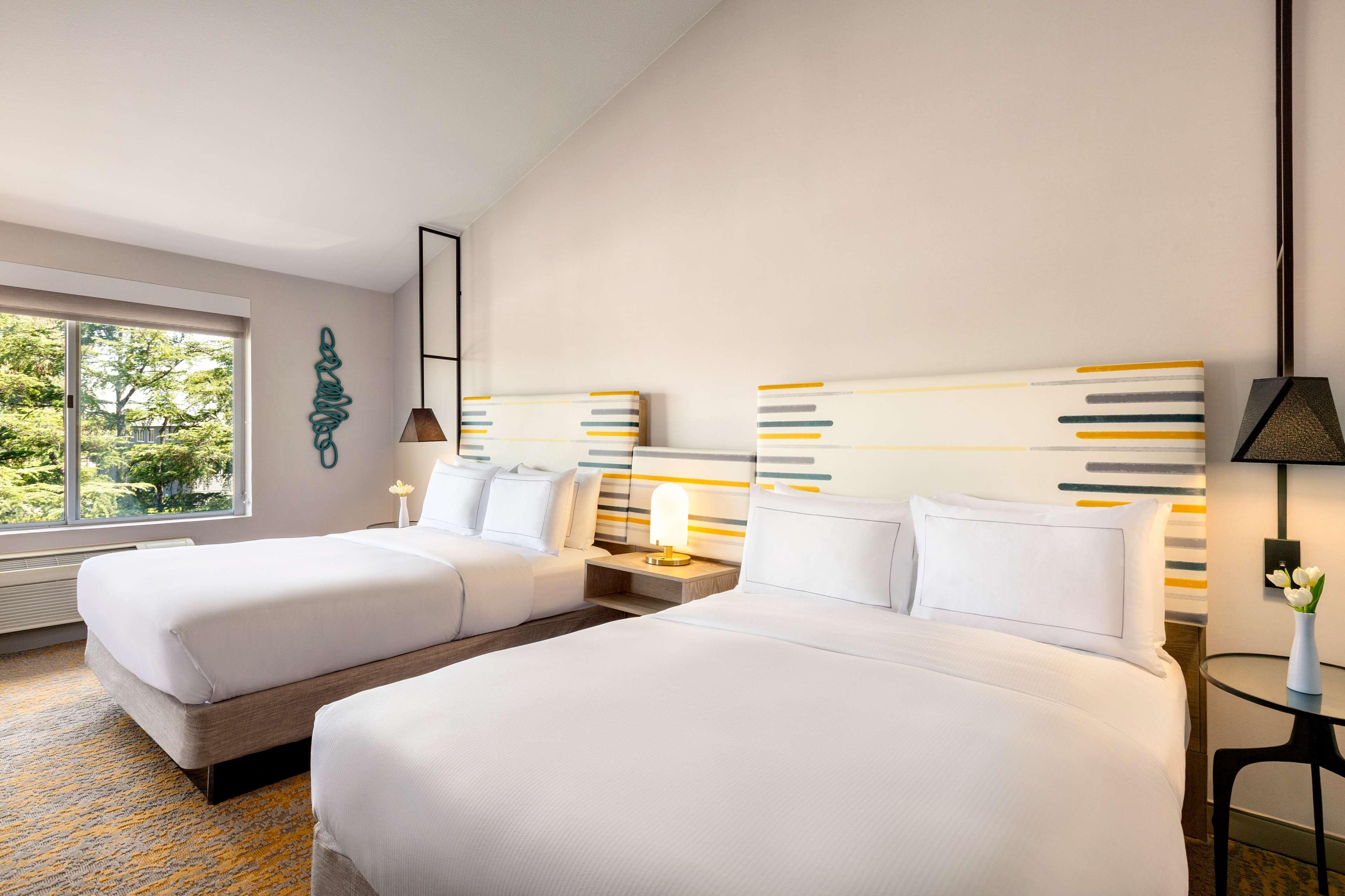 Double Two Queen Beds