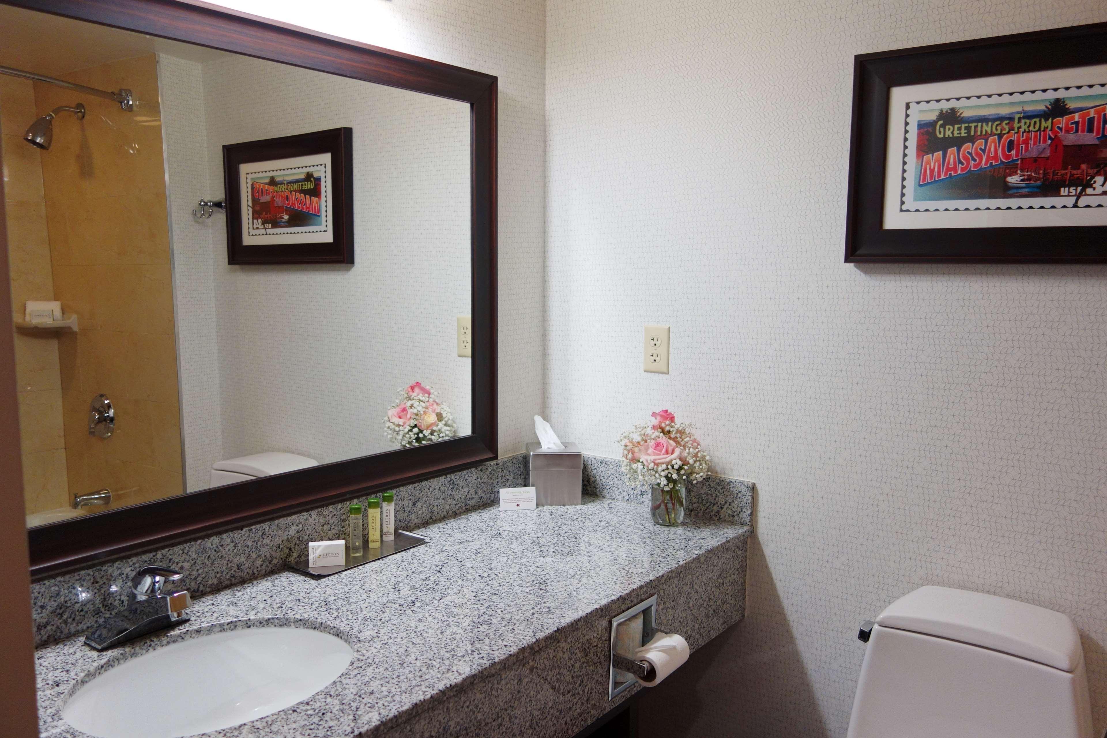 Double Two Queen Beds