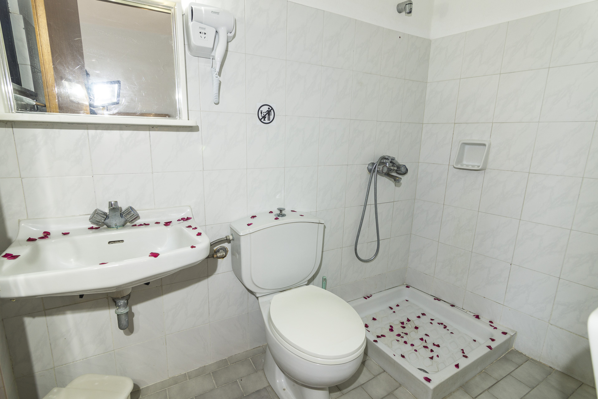 Double or Twin Standard