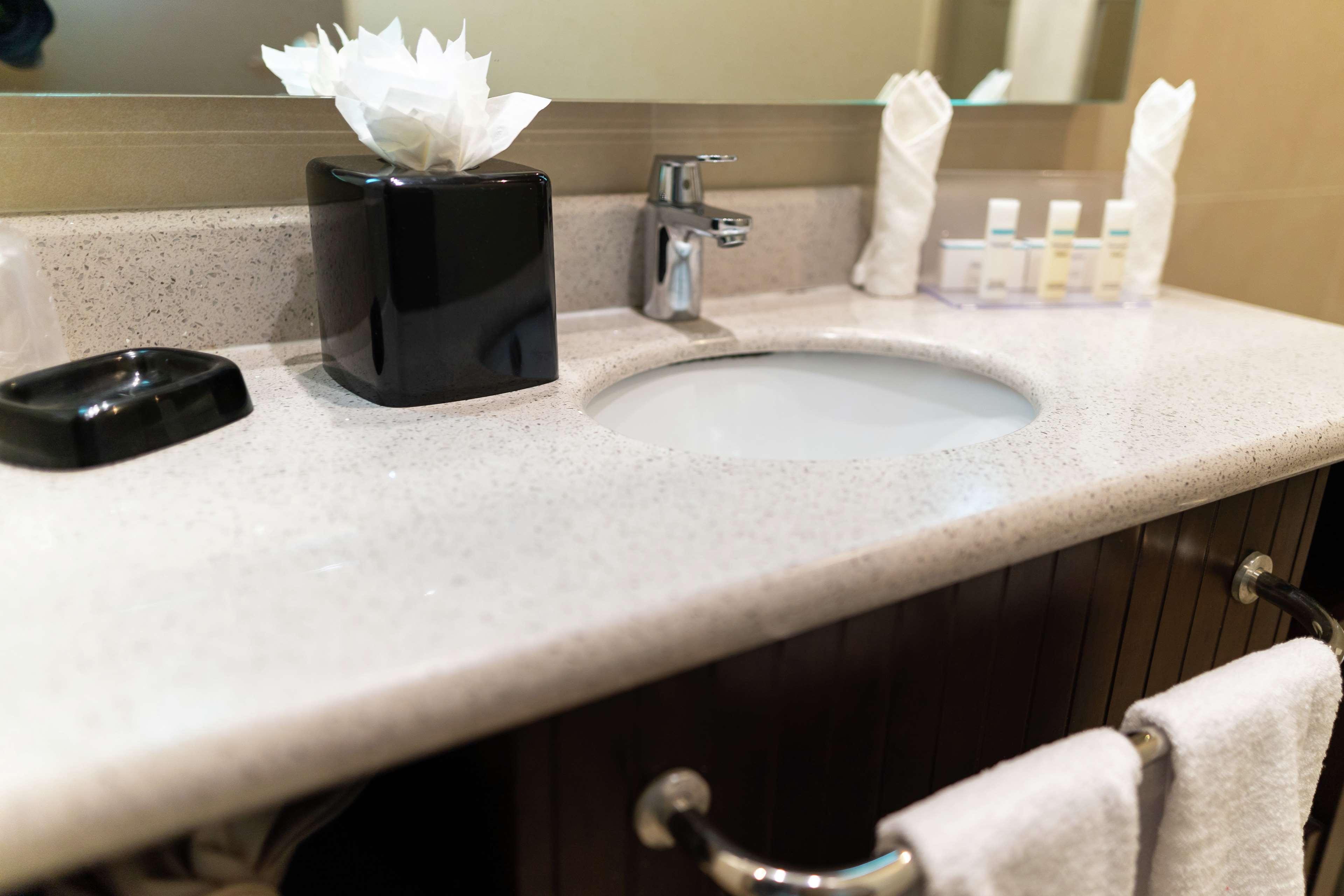 Double City View King Bed