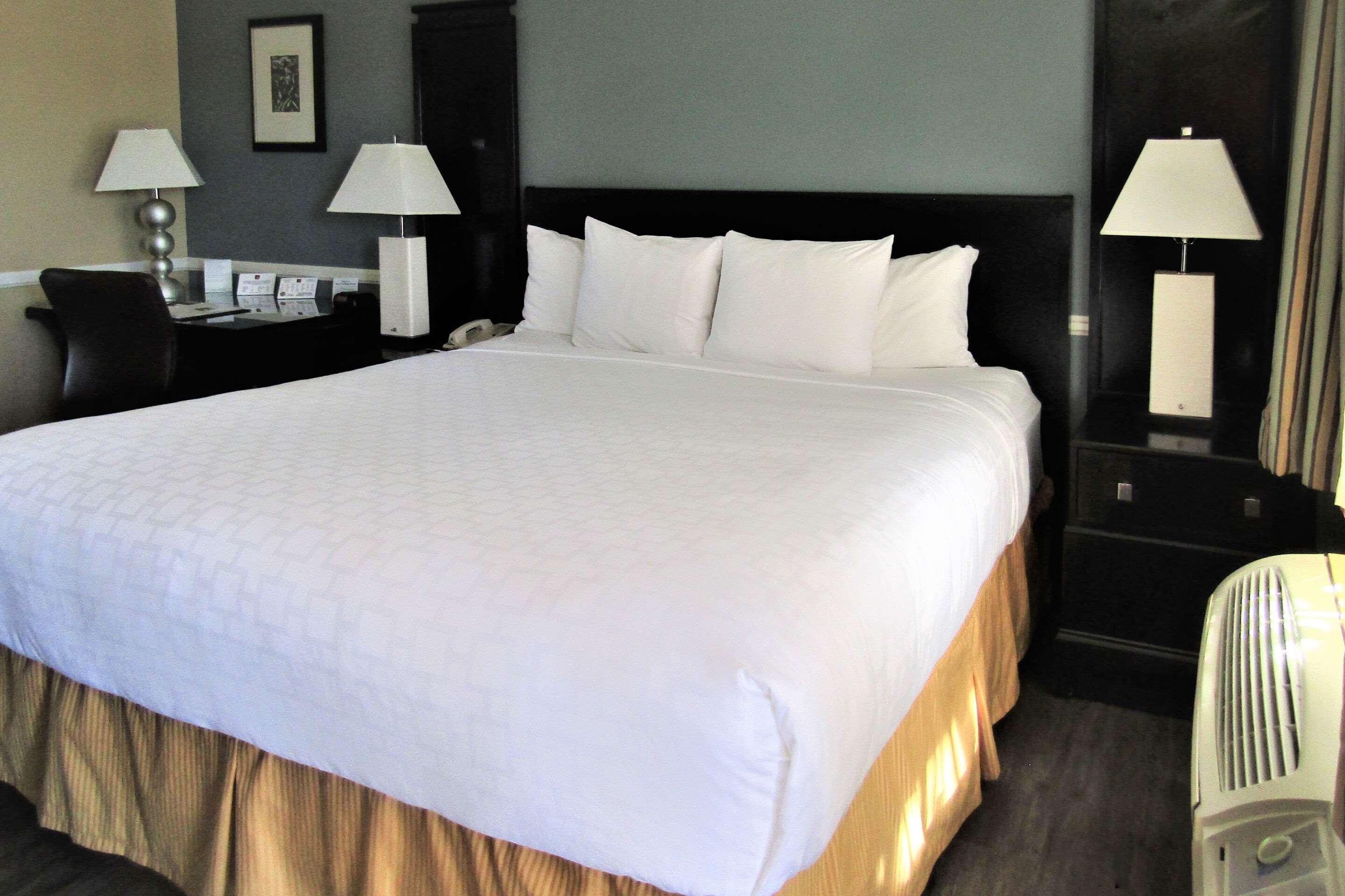 Double King Bed Non Smoking