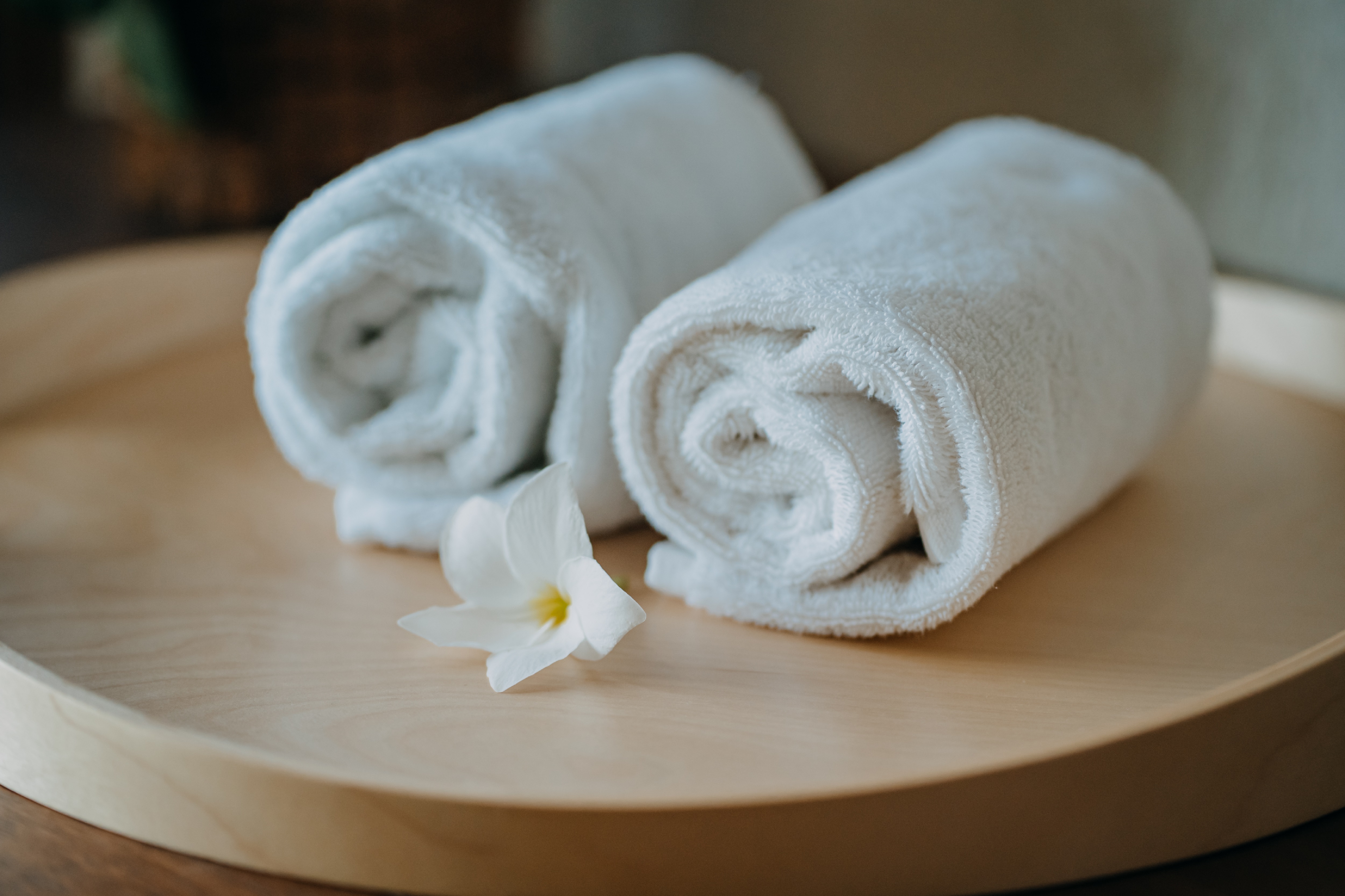 Villa Pool View One Bedroom