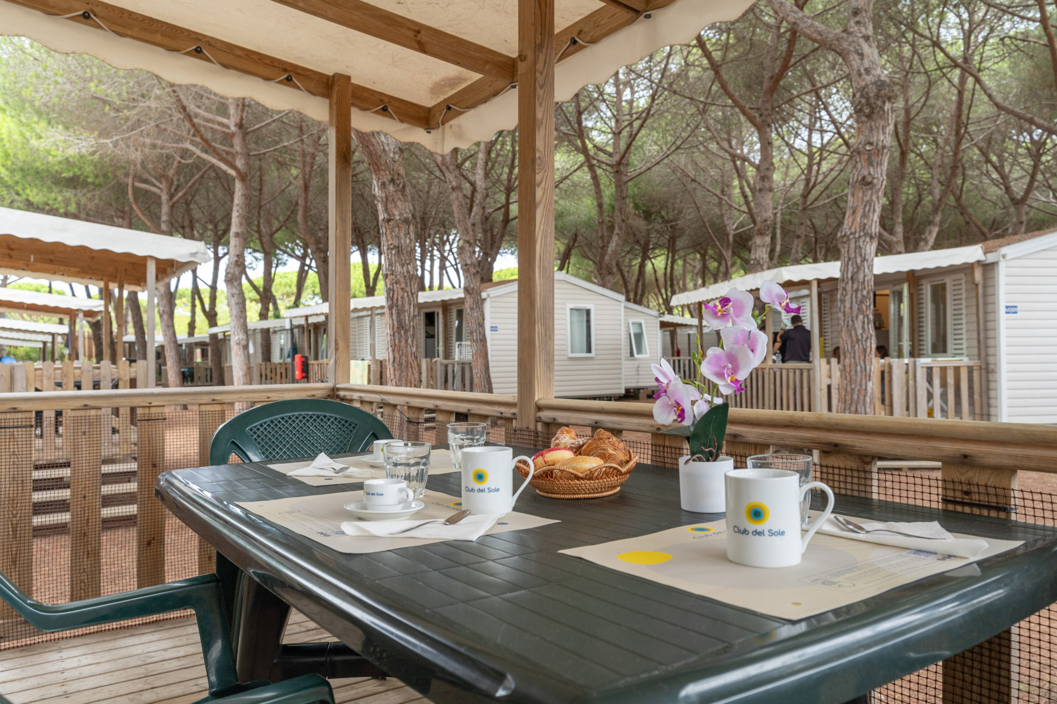 Lodge Superior Capacity 4