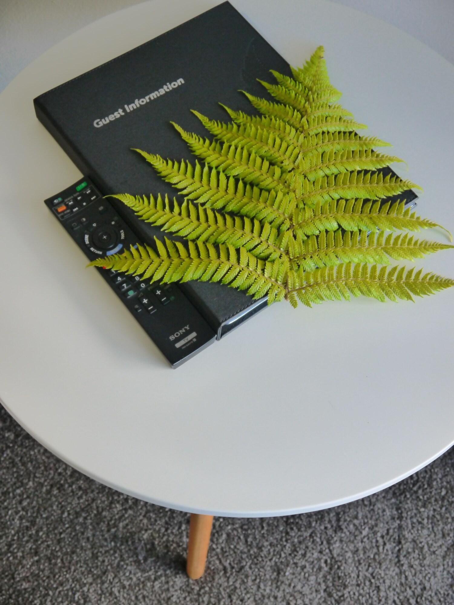 Studio with Kitchenette