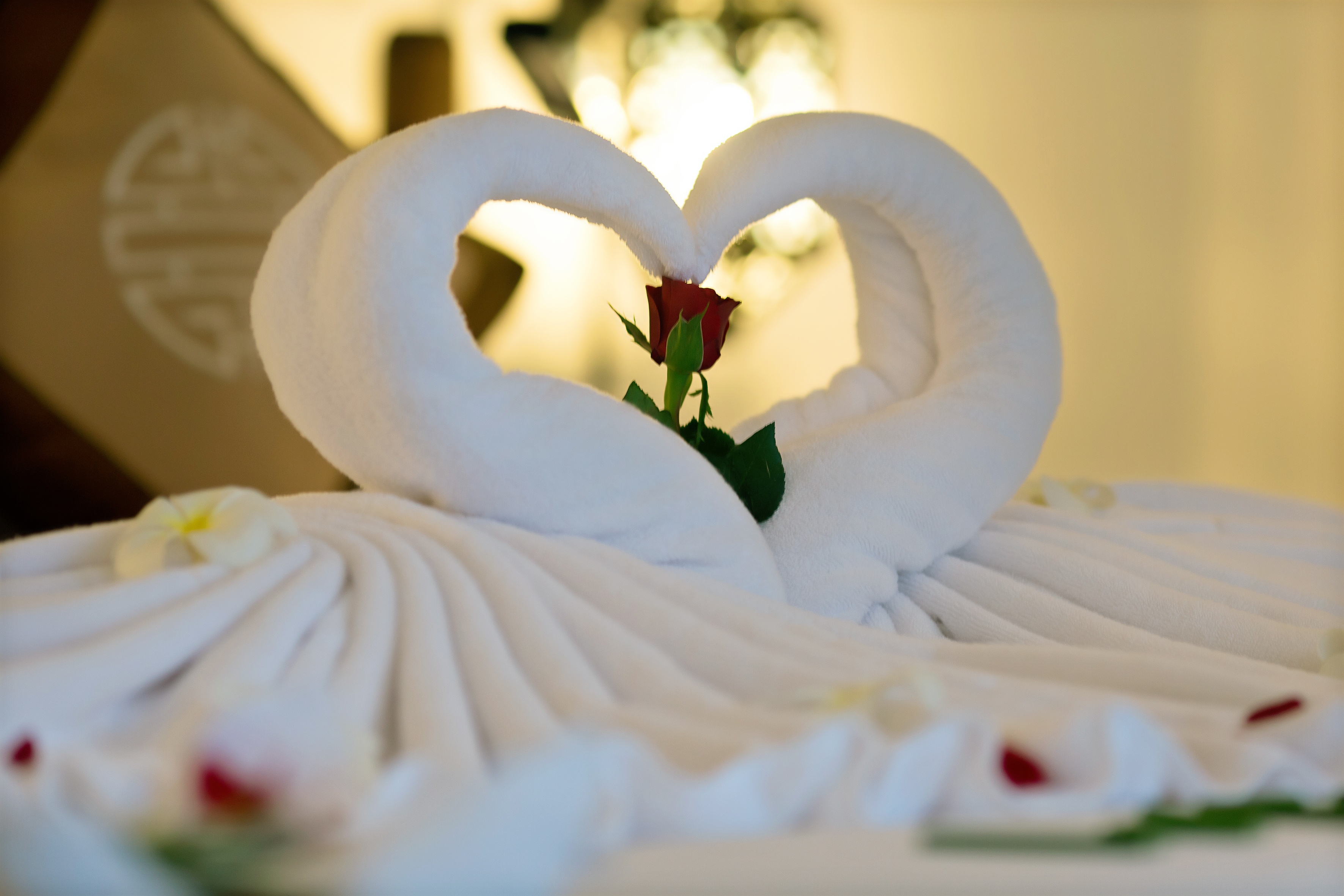 Family Room Deluxe Capacity 4