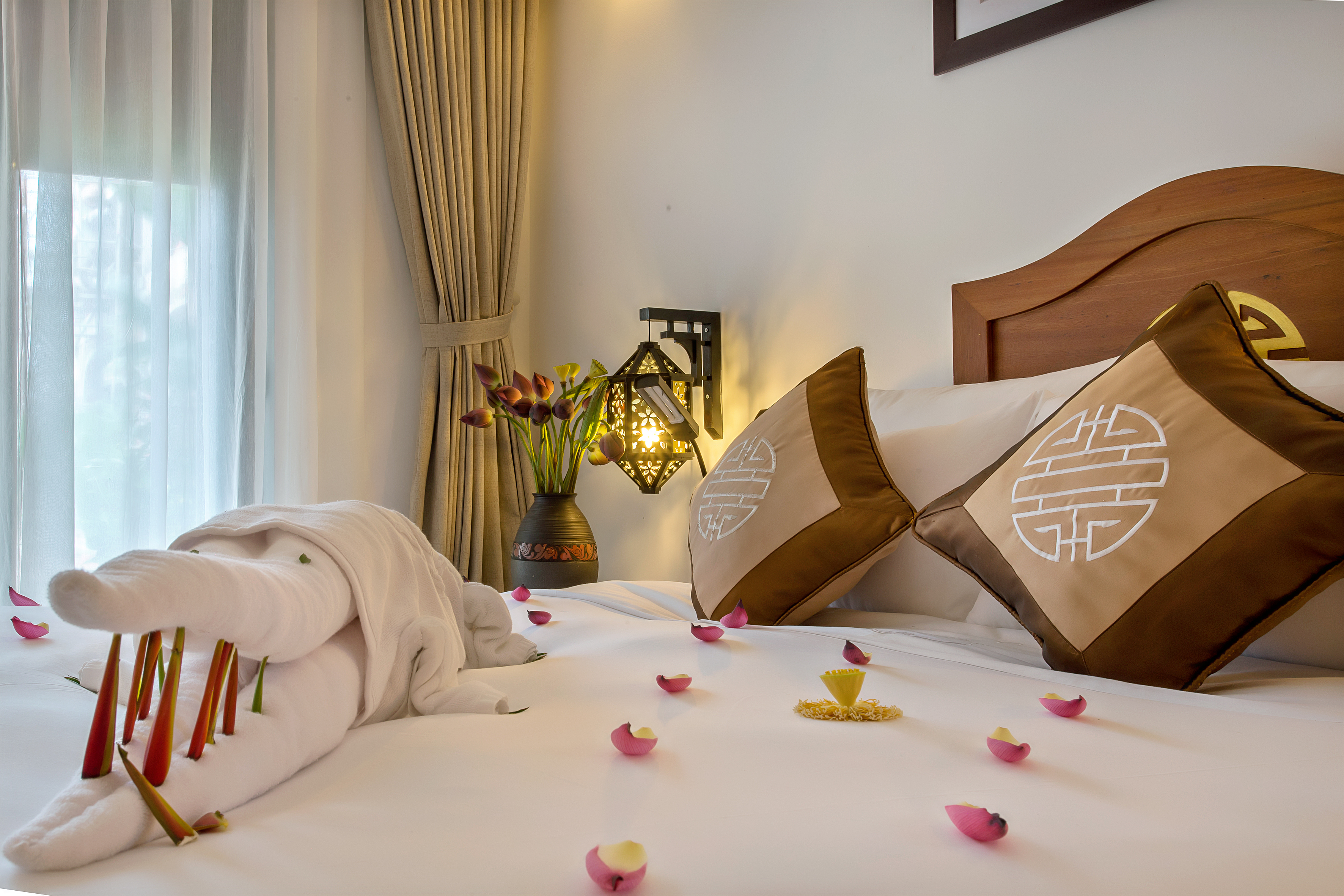 Family Room Deluxe Capacity 4