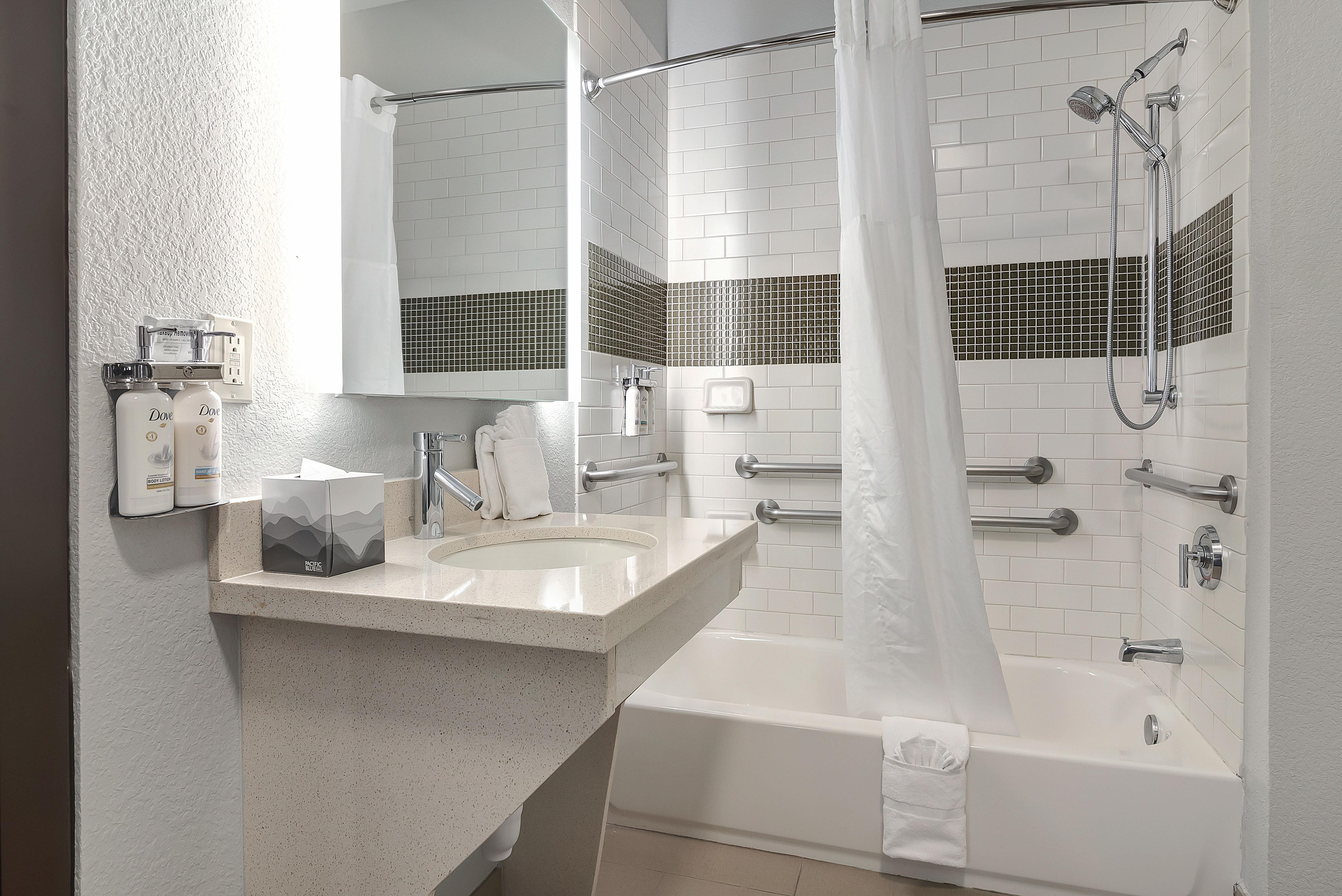 Suite King Bed One Bedroom 