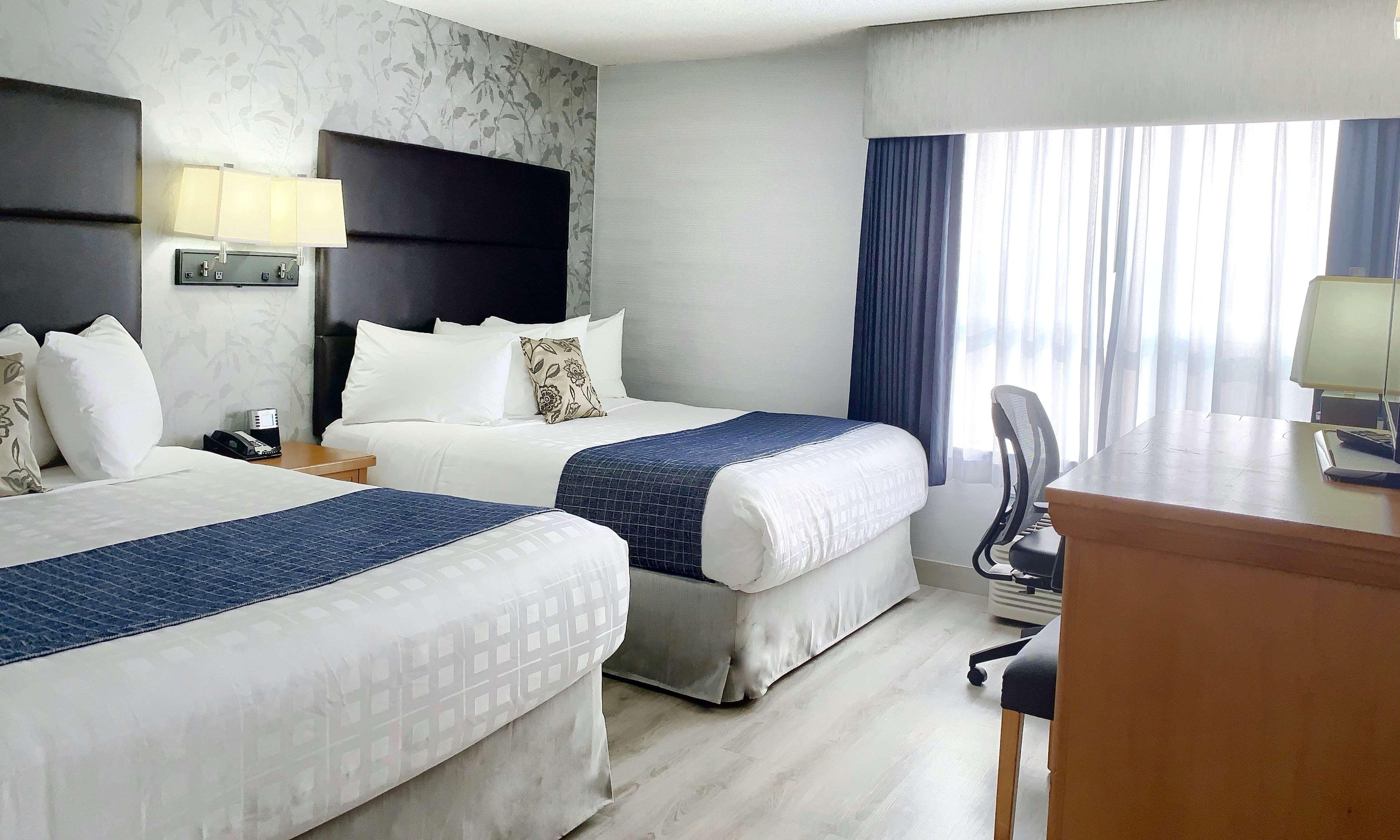 Quadruple Executive Two Queen Beds