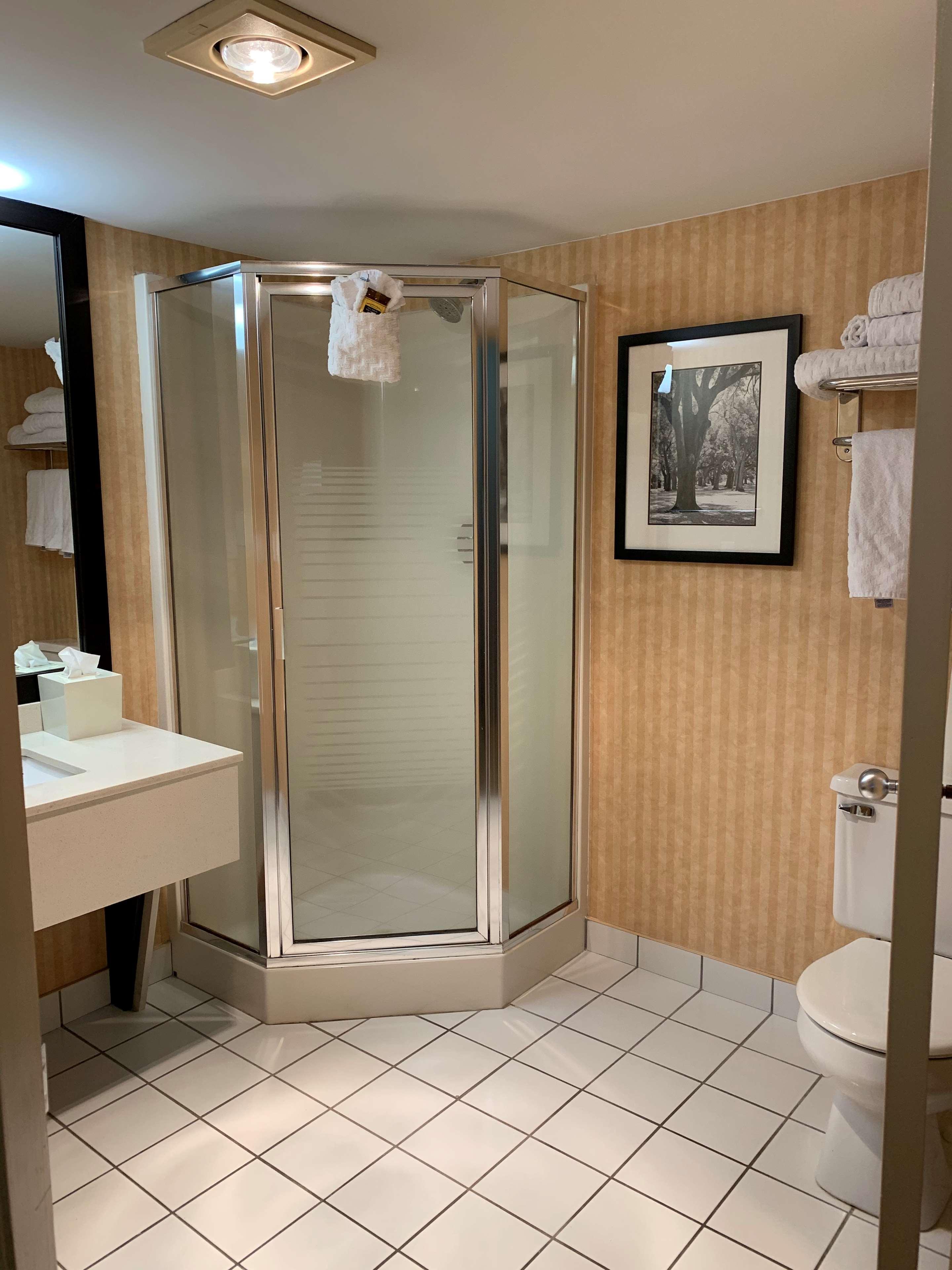 Suite King Bed with Jacuzzi