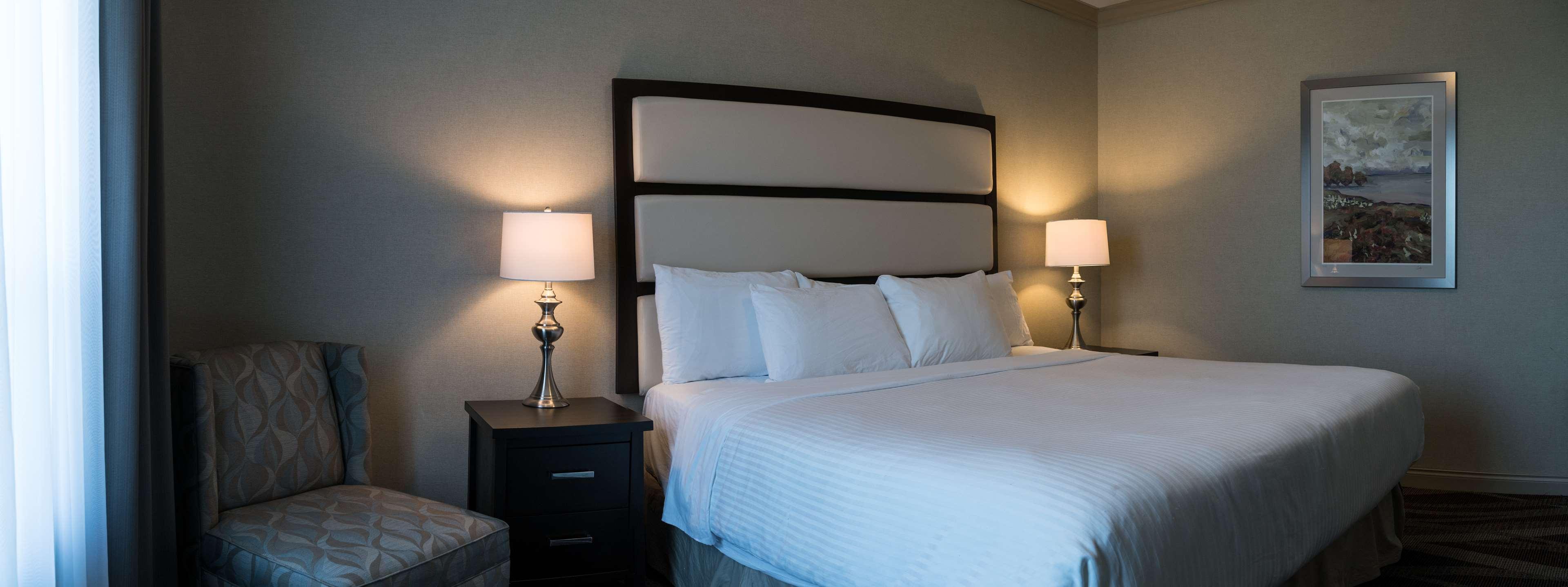 Suite King Bed Non Smoking