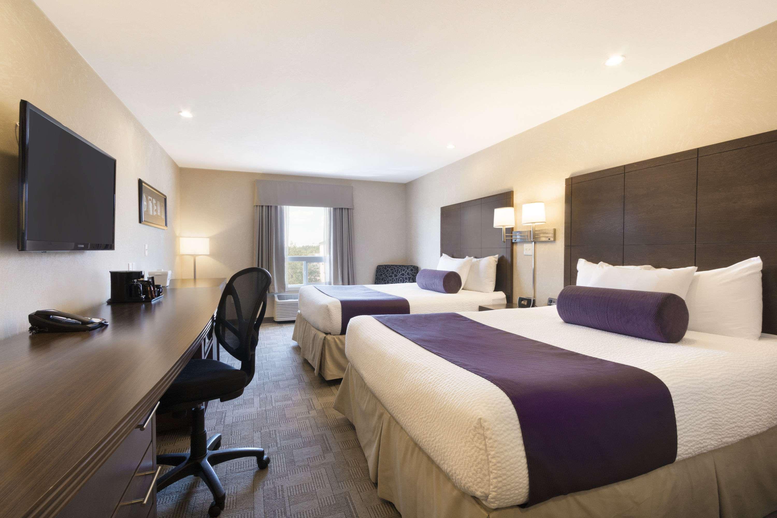 Suite Two Queen Beds