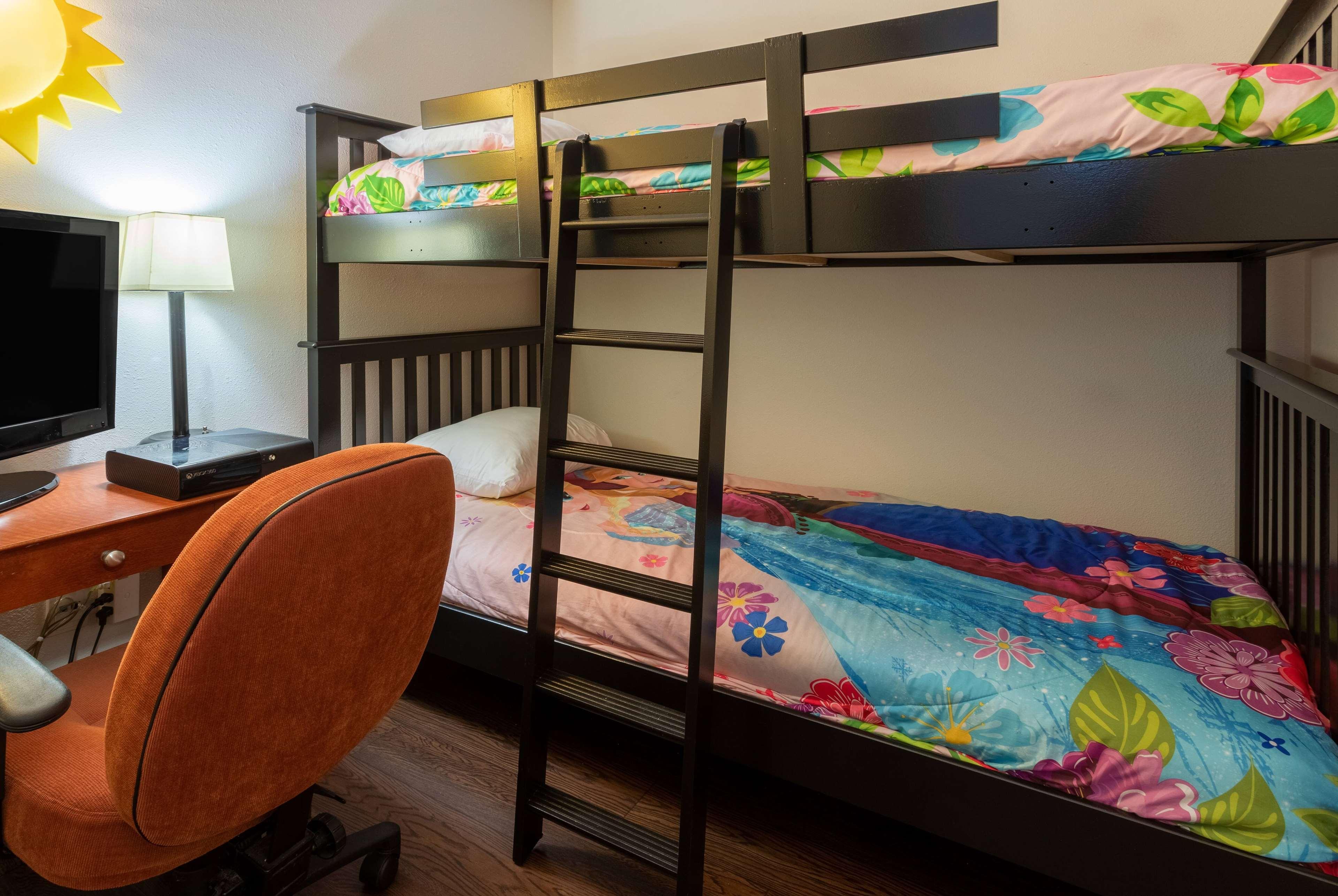 Suite Bunk Bed
