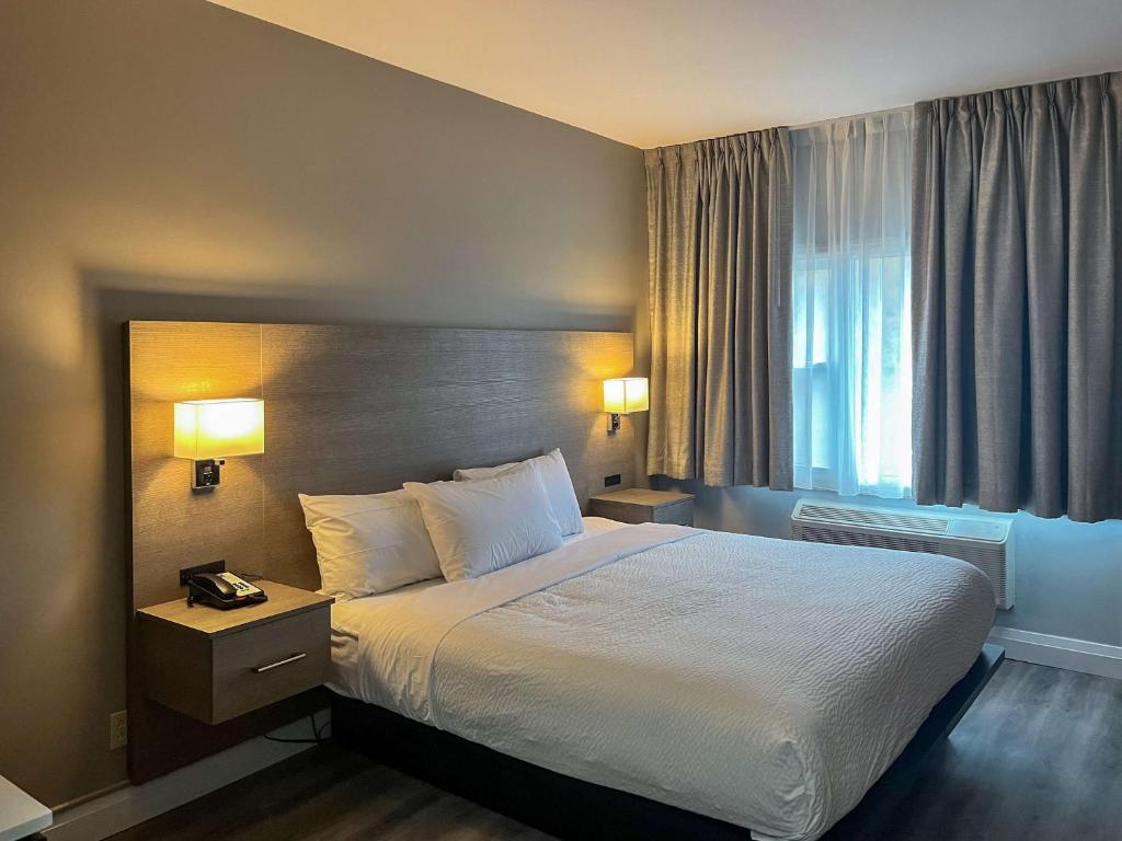 Suite King Bed Non Smoking