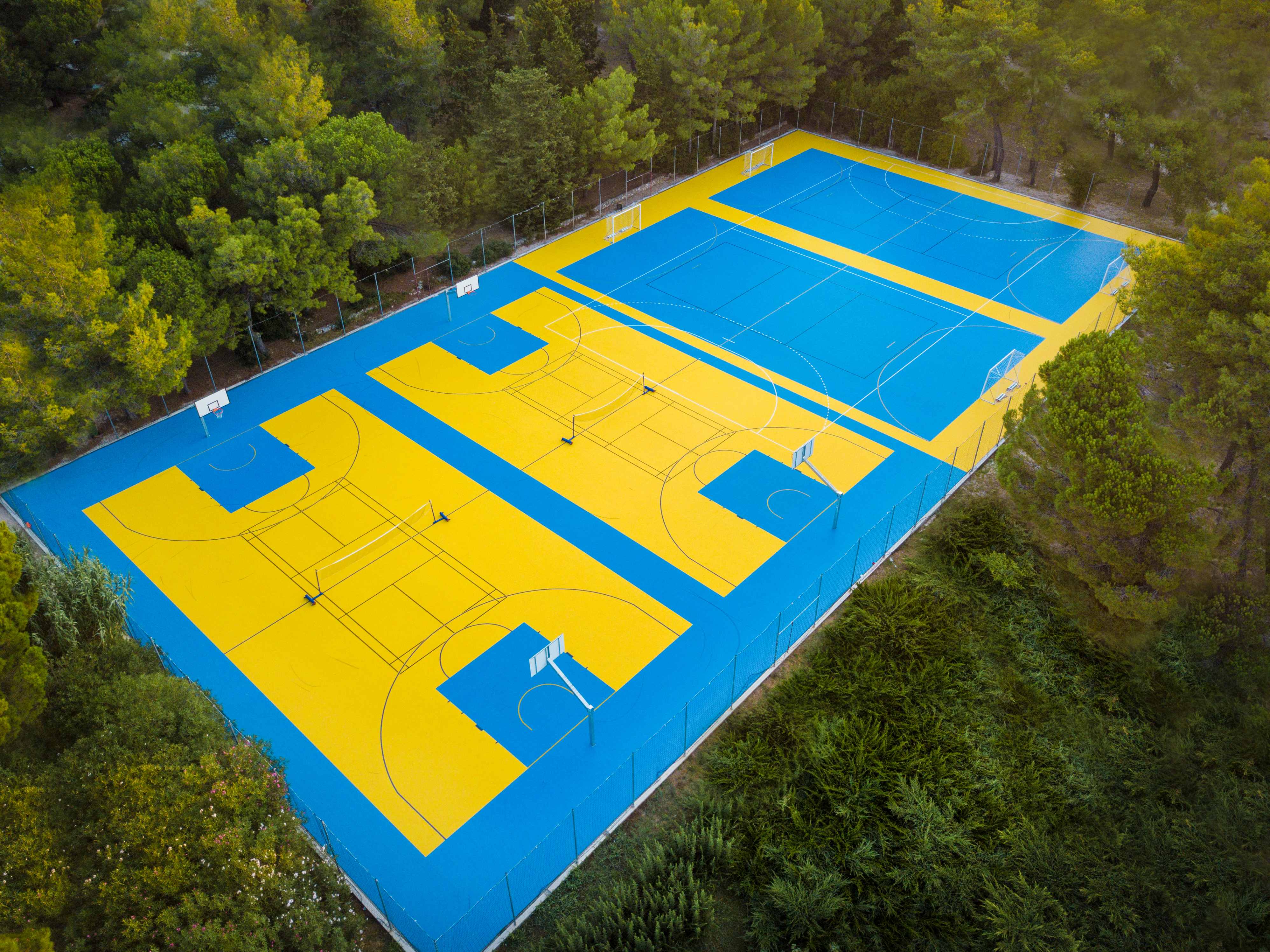 Sports and Entertainment