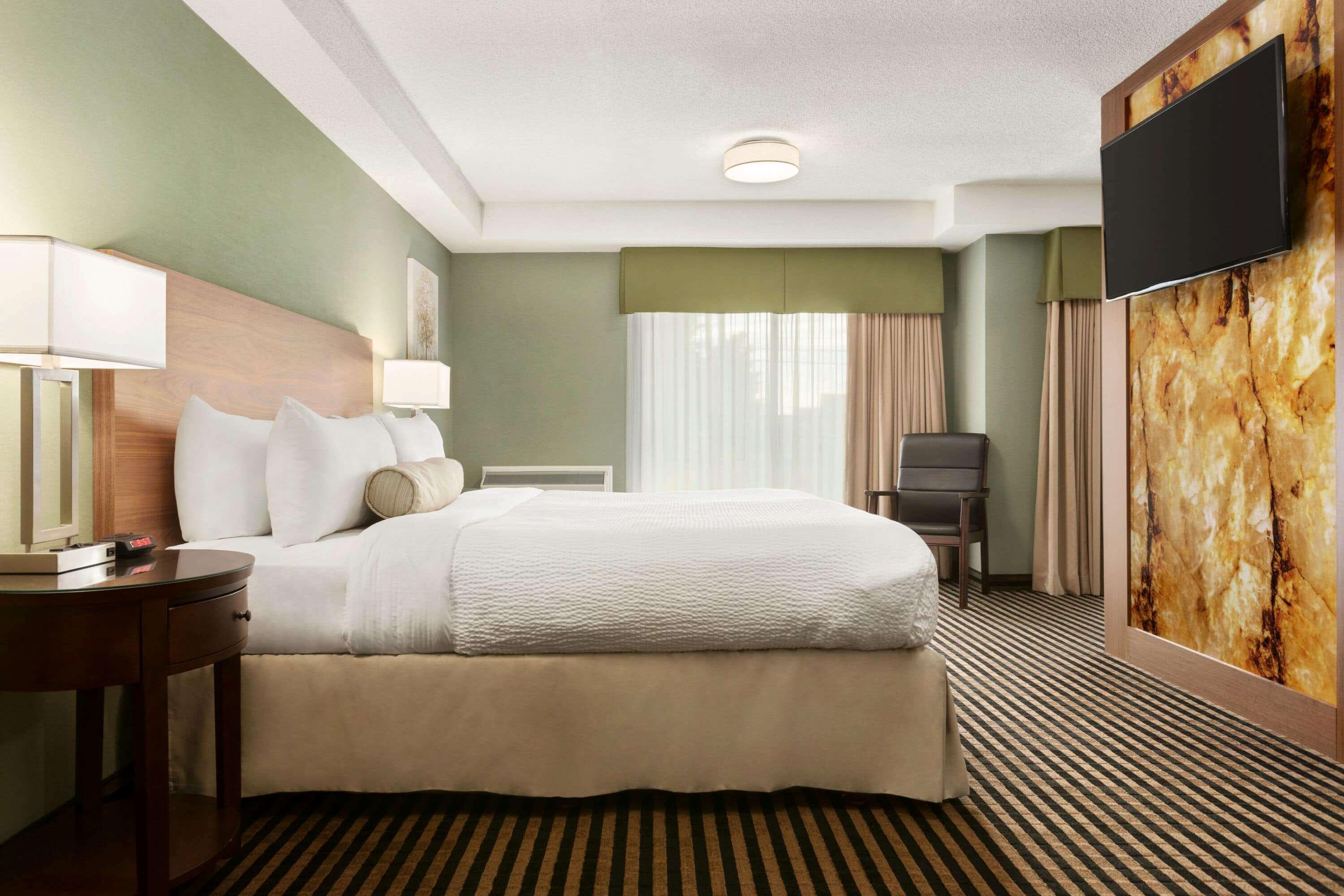 Suite King Bed Non Smoking