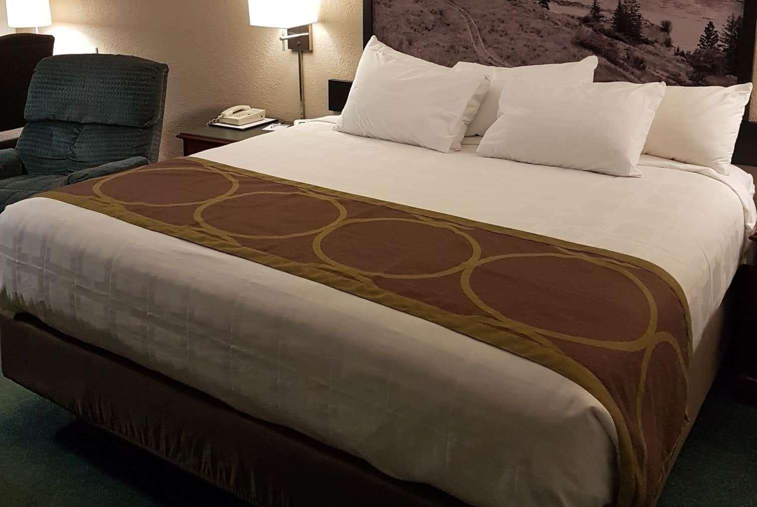 Double King Bed Non Smoking