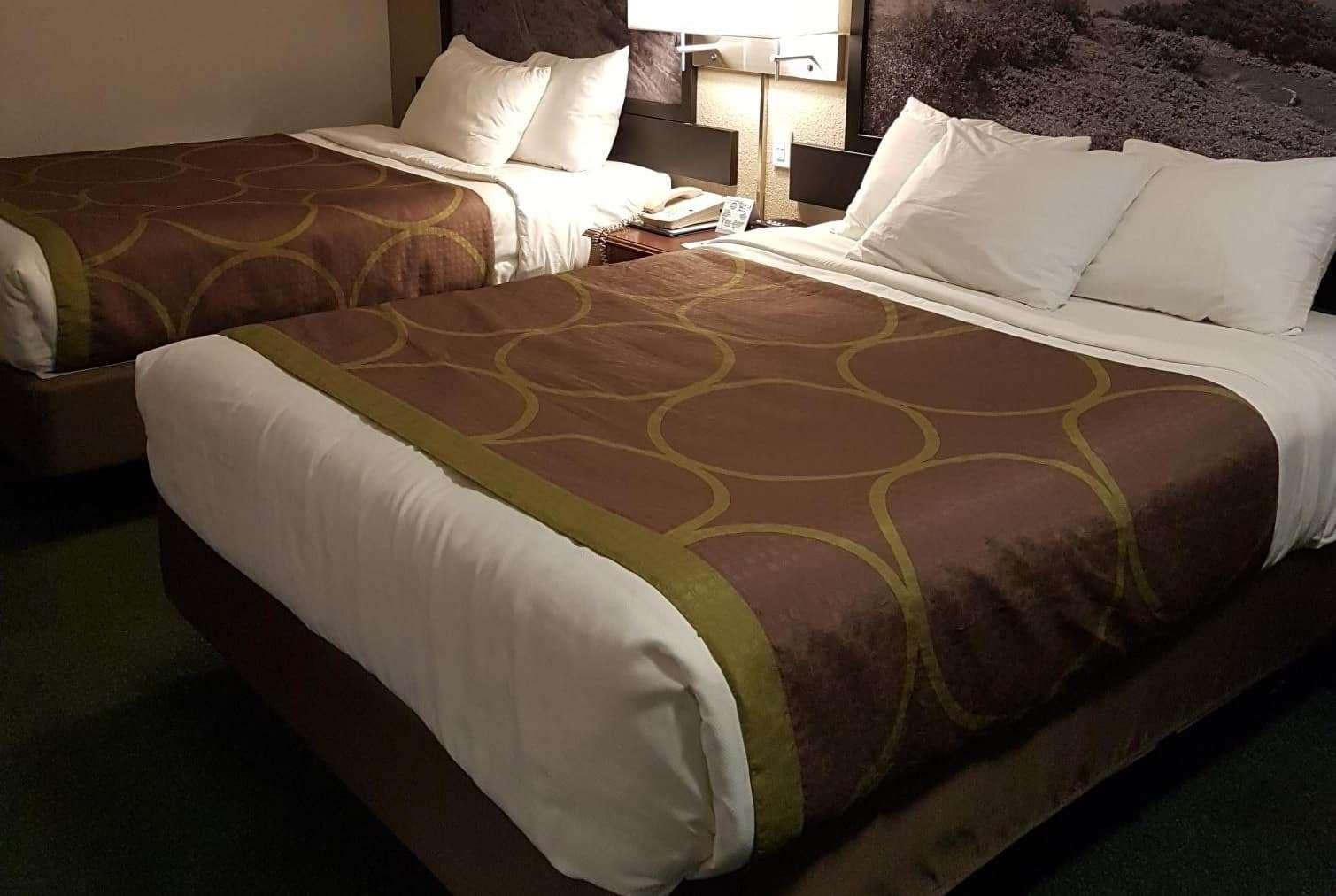 Quadruple Two Queen Beds