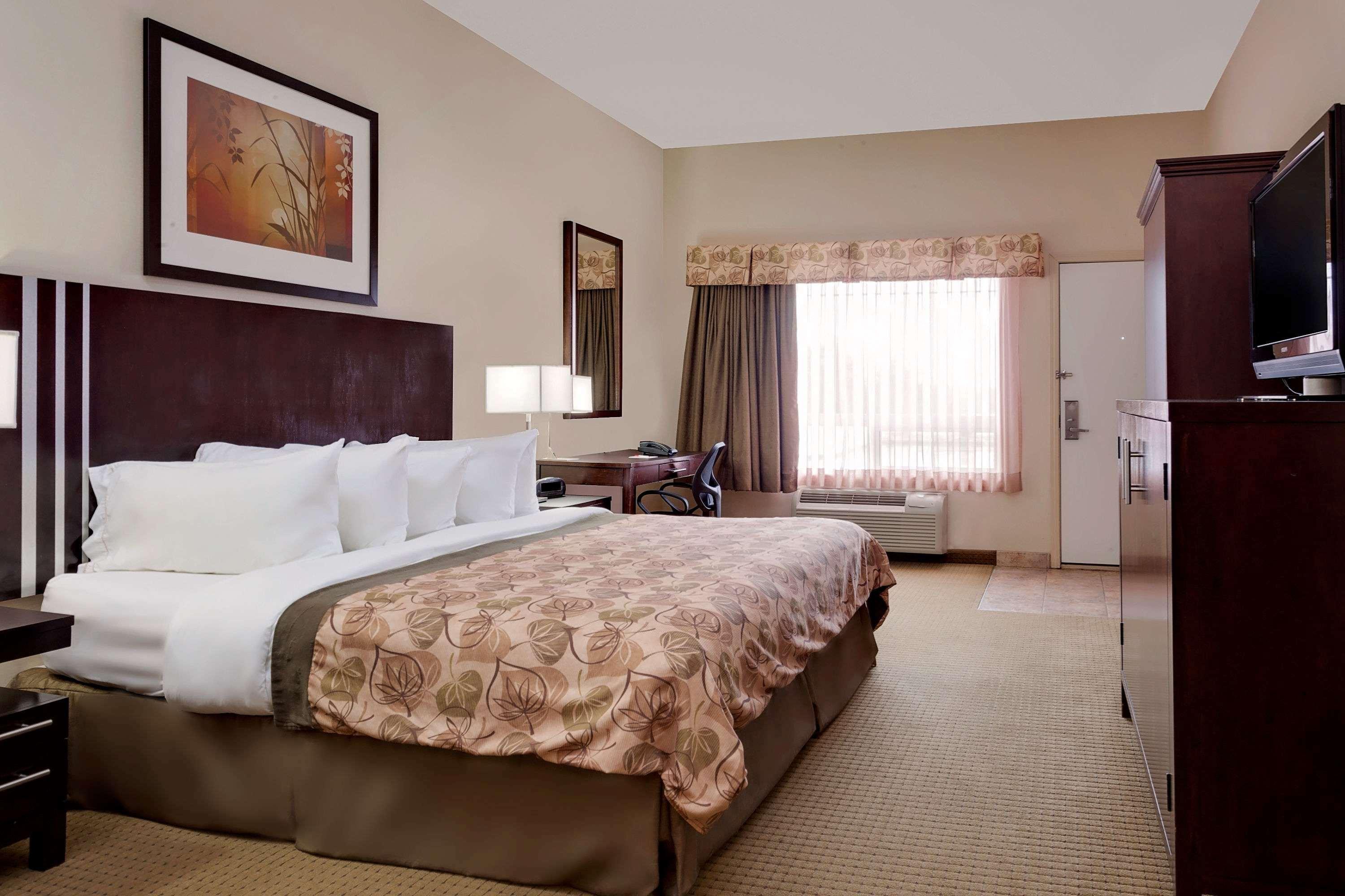 Double King Bed Non Smoking