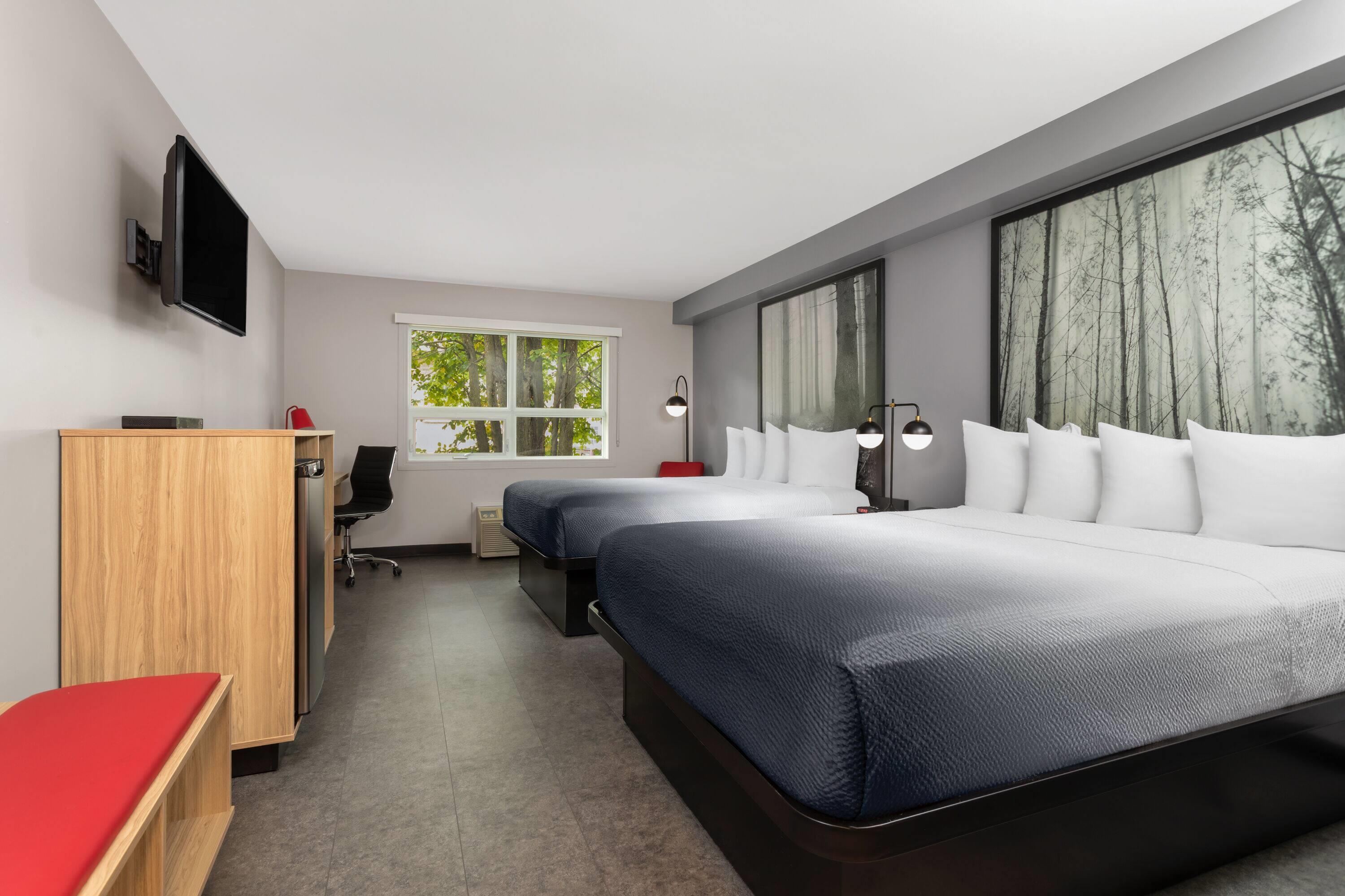 Double Two Queen Beds