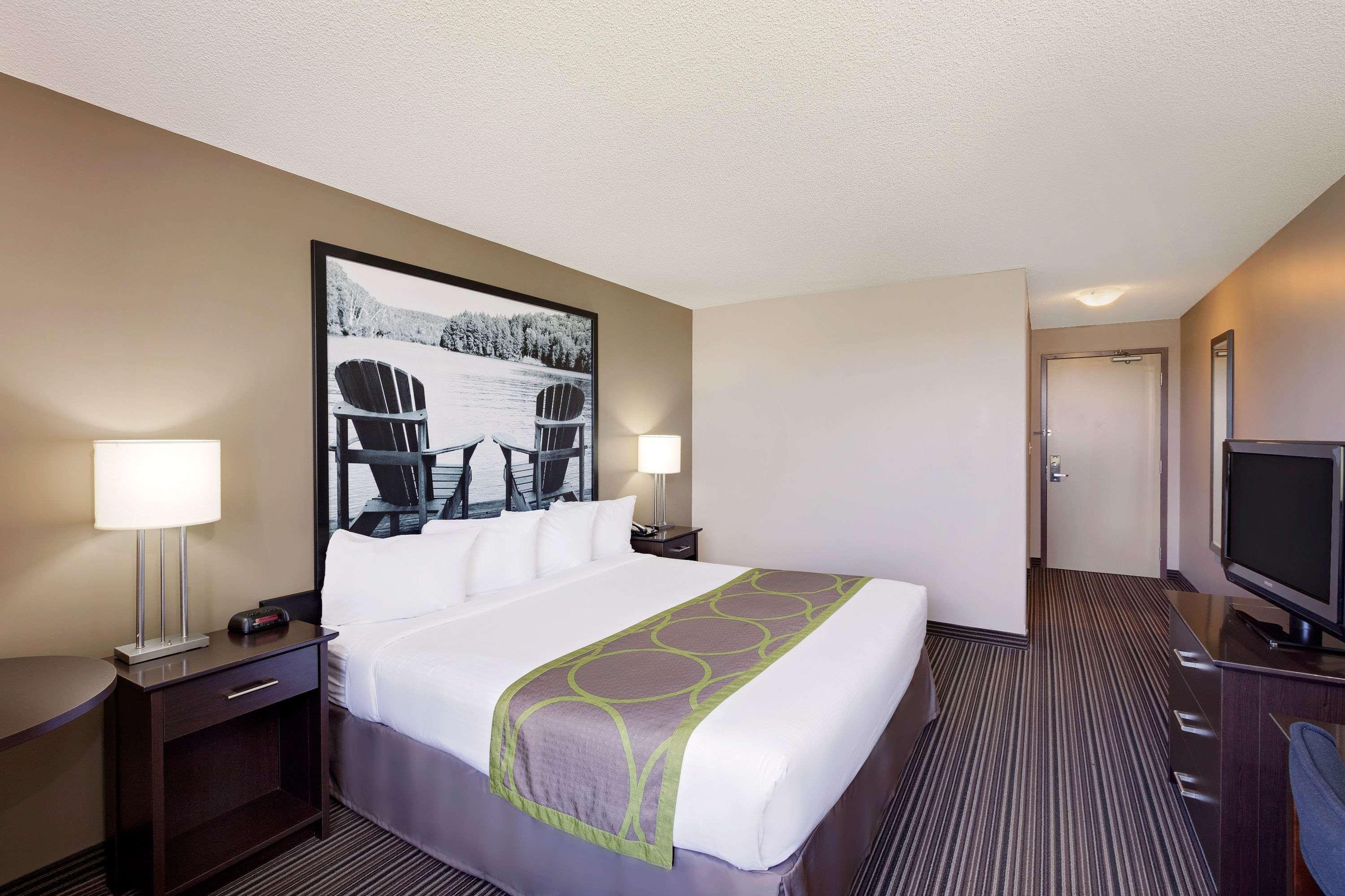 Double King Bed Non Smoking