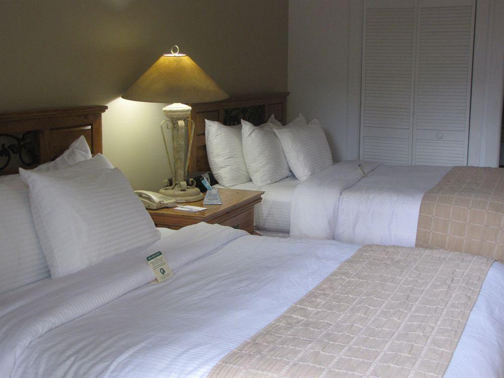 Suite Two Queen Beds