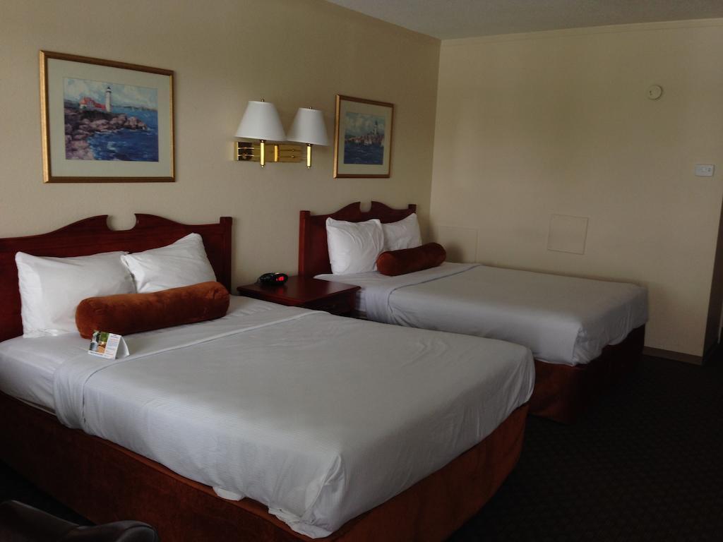 Double Two Queen Beds